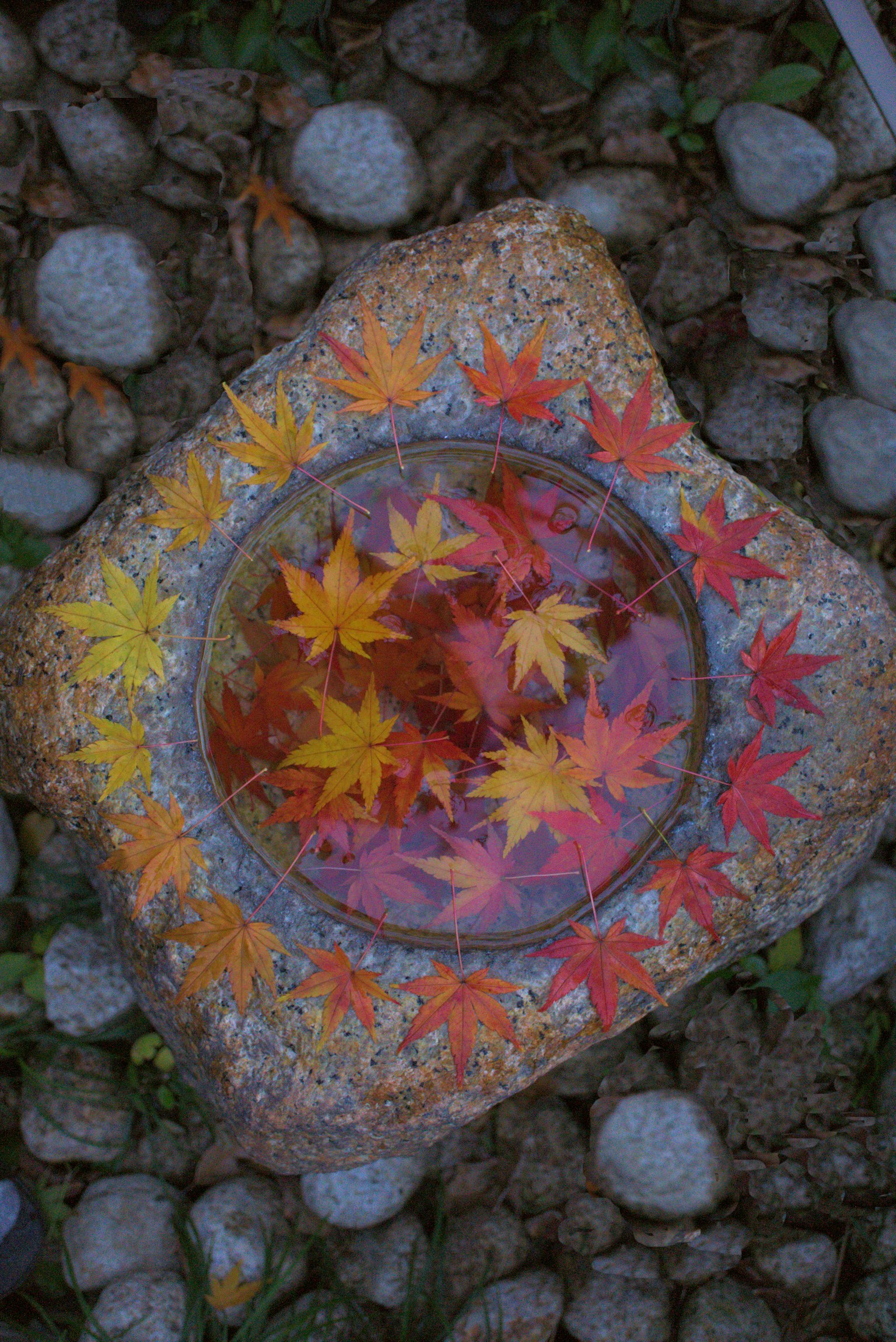 photo-863xM8Ss3rC0SLO5K1fu-image