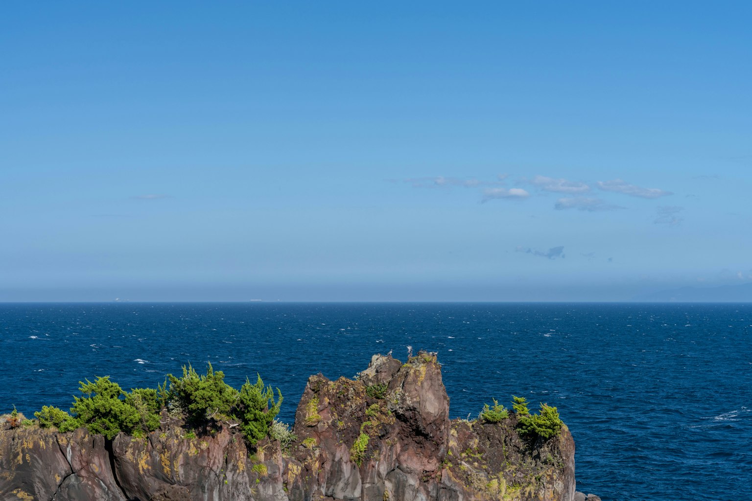 Rocky coastline with green trees against a blue ocean and sky