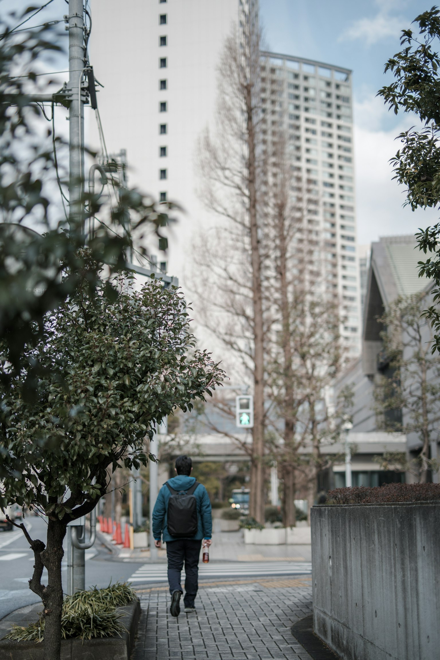 Una persona che cammina vicino a un alto edificio con alberi lungo il marciapiede