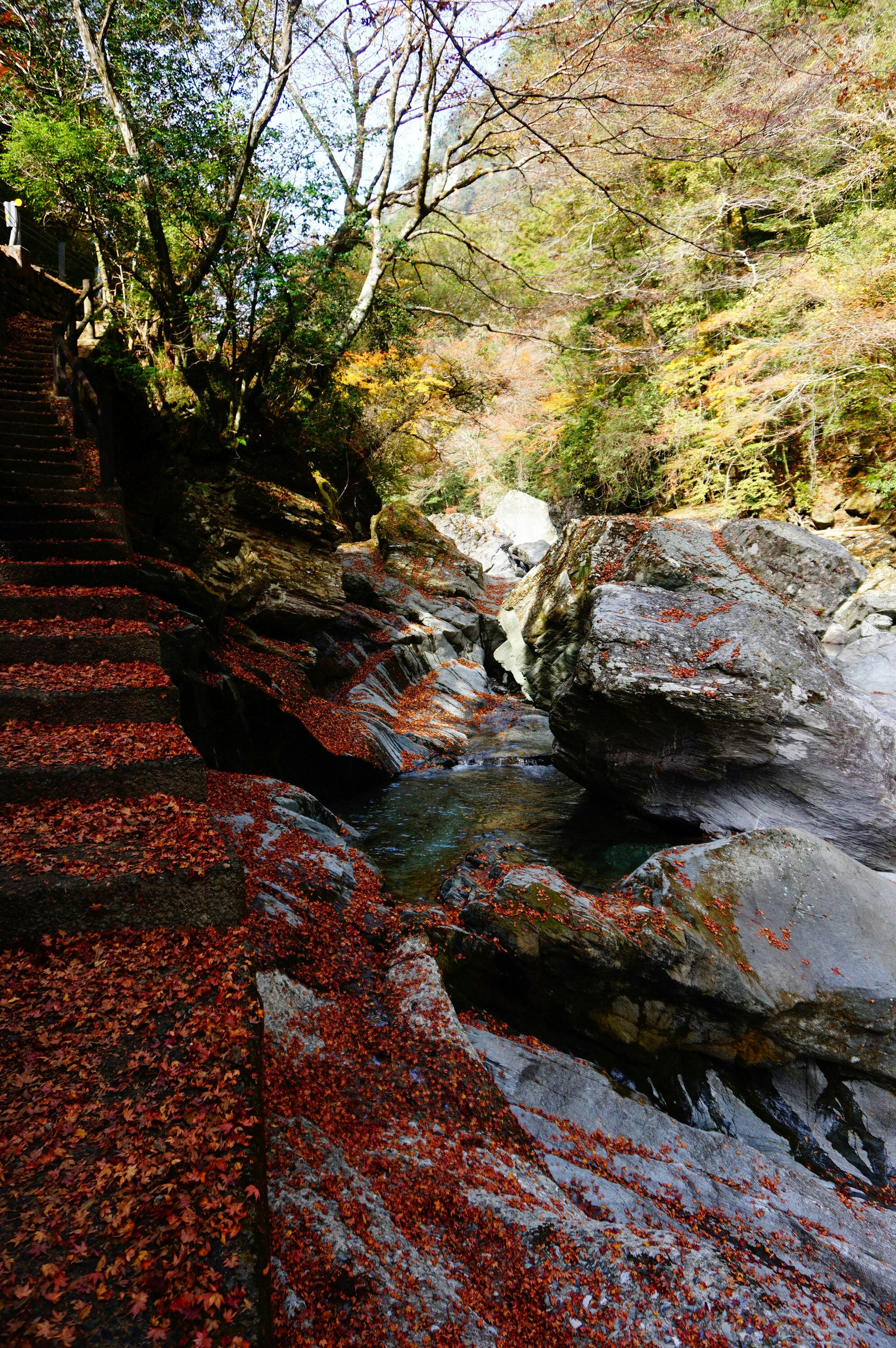 rochers couverts de mousse et ruisseau dans une gorge de montagne avec des marches en pierre
