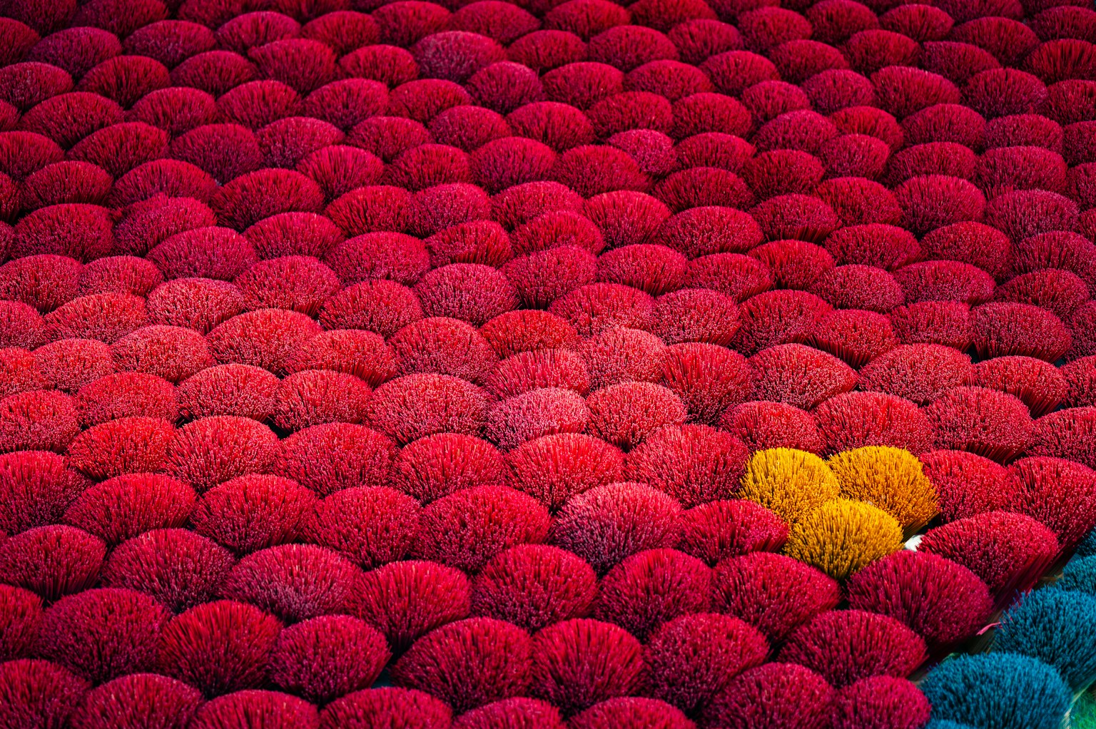 Patrón vibrante de flores rojas y amarillas creando un hermoso paisaje
