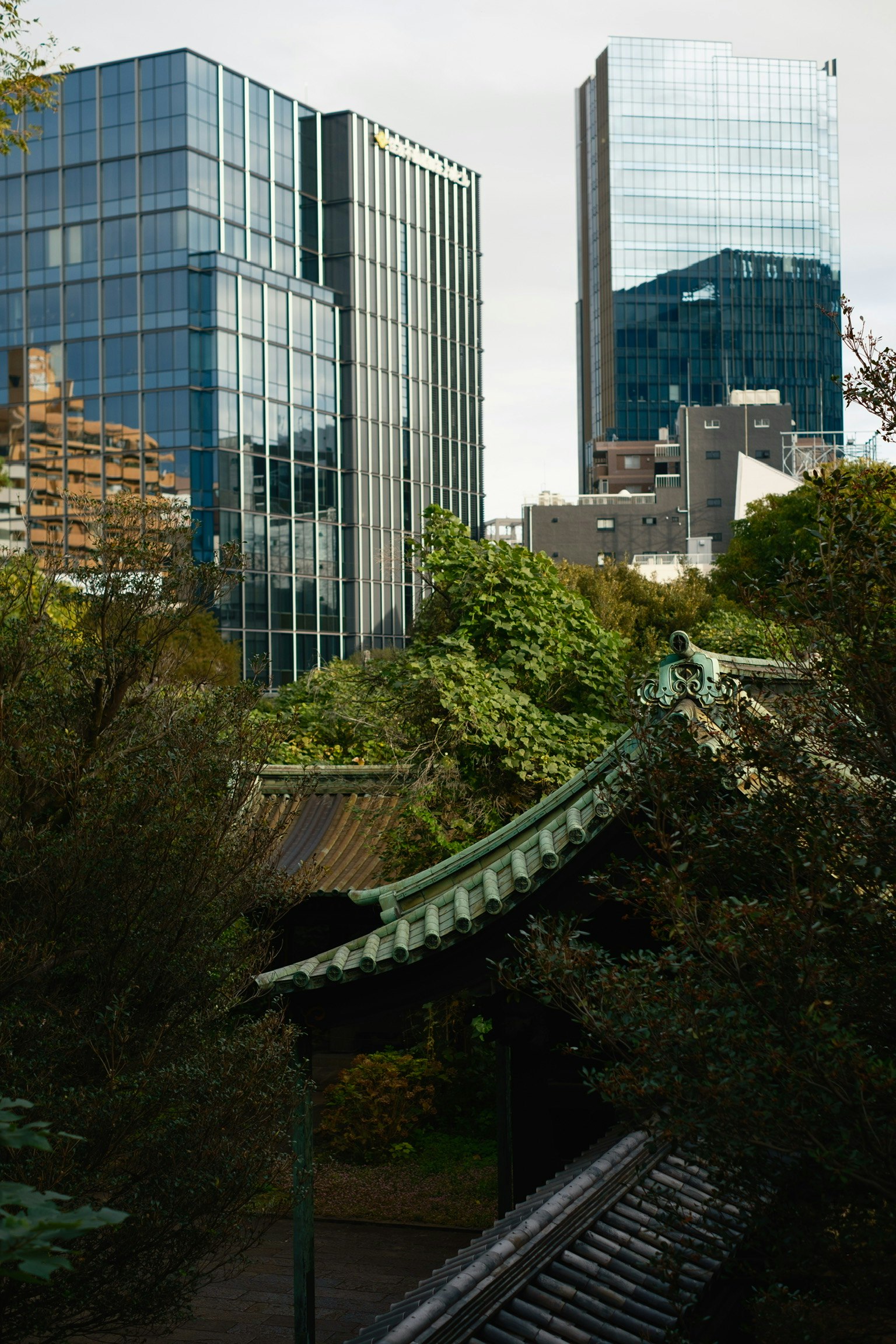 現代的なビルと緑豊かな庭園のコントラストが印象的な風景
