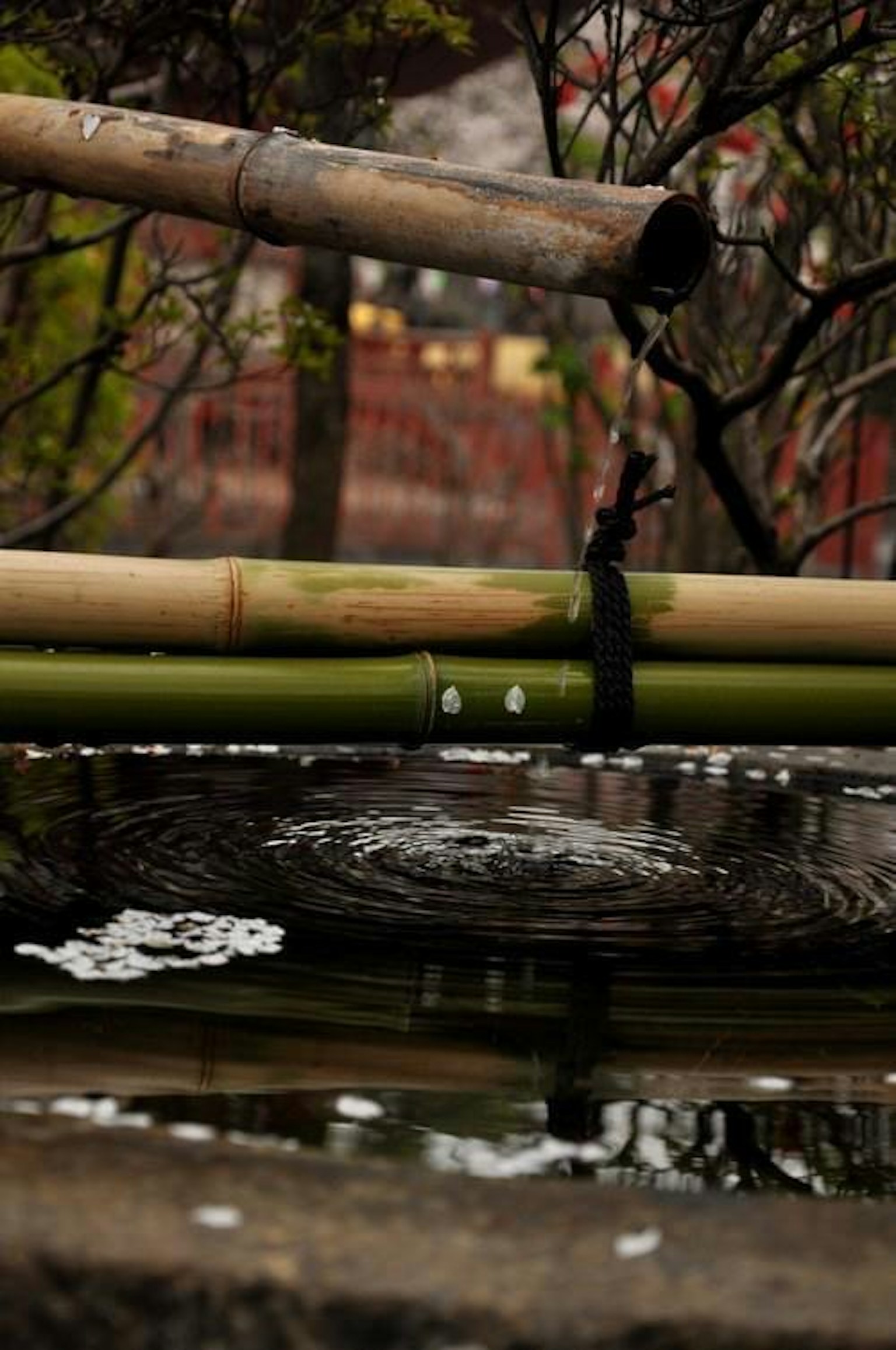 竹制水景，水滴落入宁静的池塘