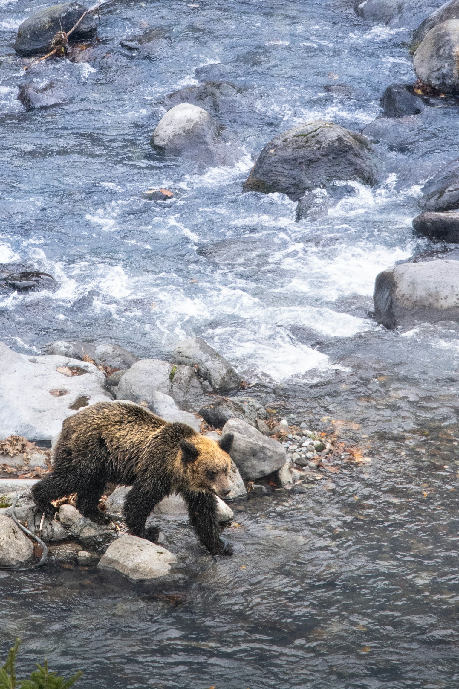 photo-88k2oxkOXV9qmDCgvaUM-image