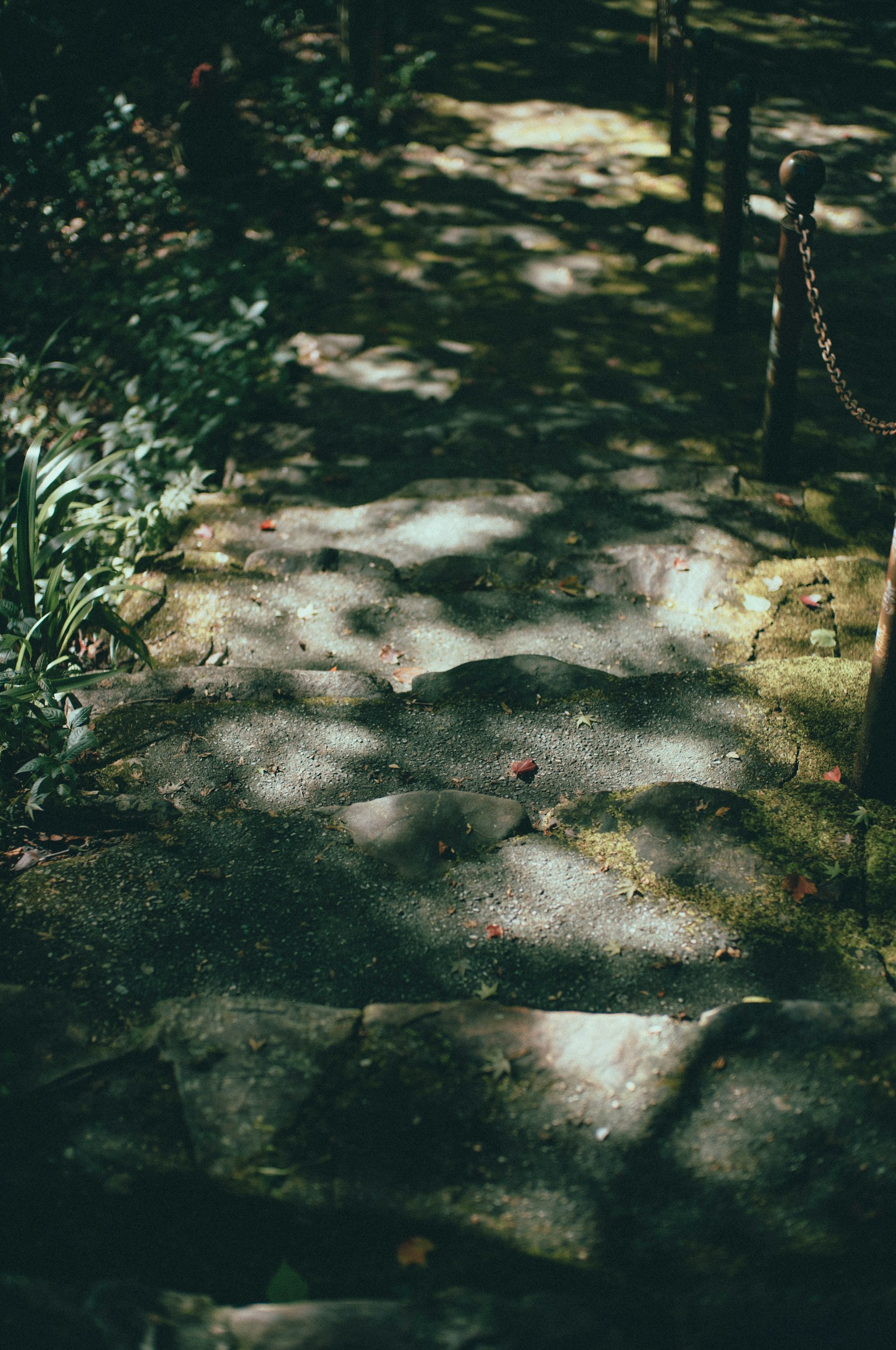 Stone pathway with dappled sunlight and shadows