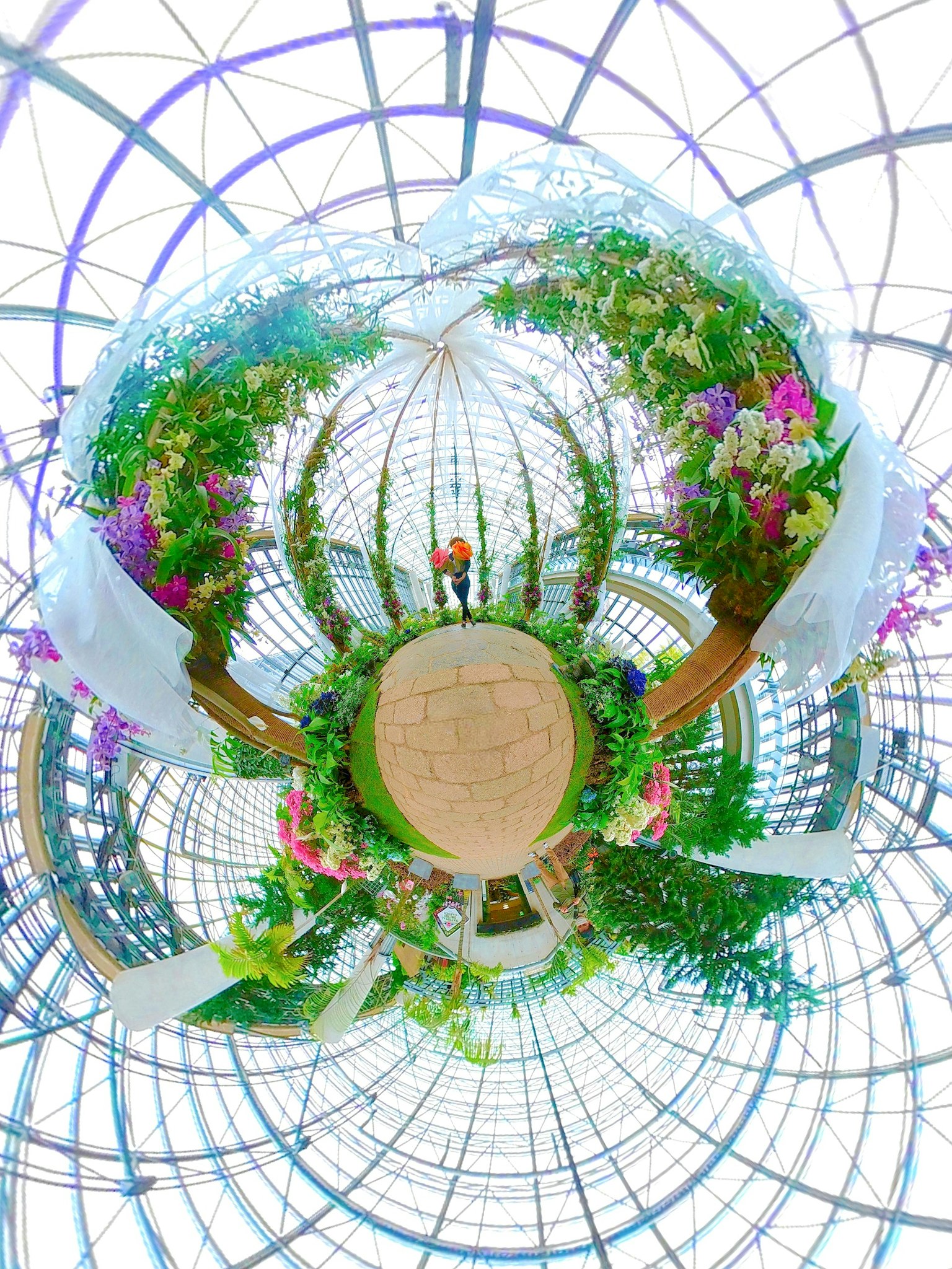 Intérieur de serre vibrant orné de fleurs colorées