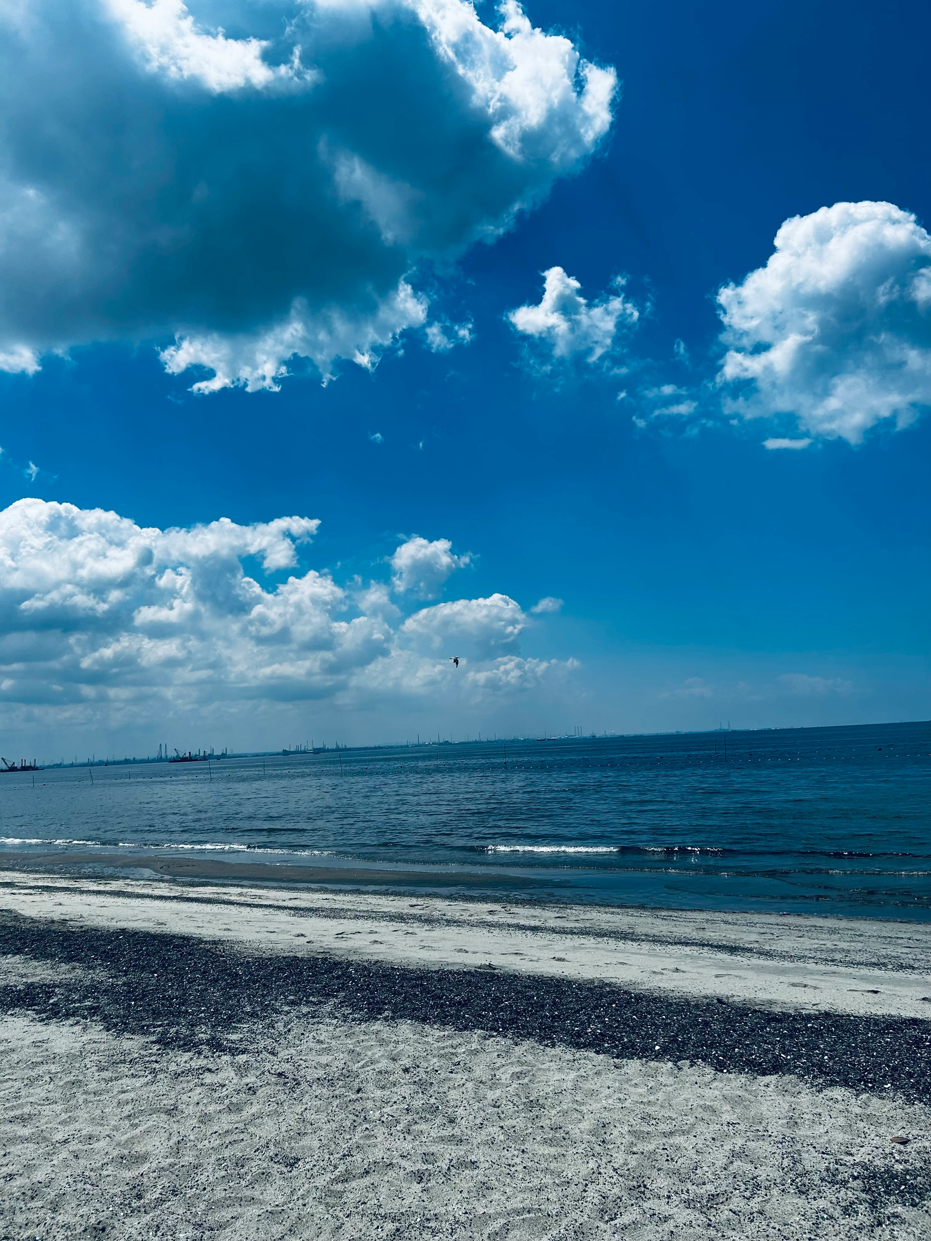 青い海と広がる砂浜、雲の多い空の風景