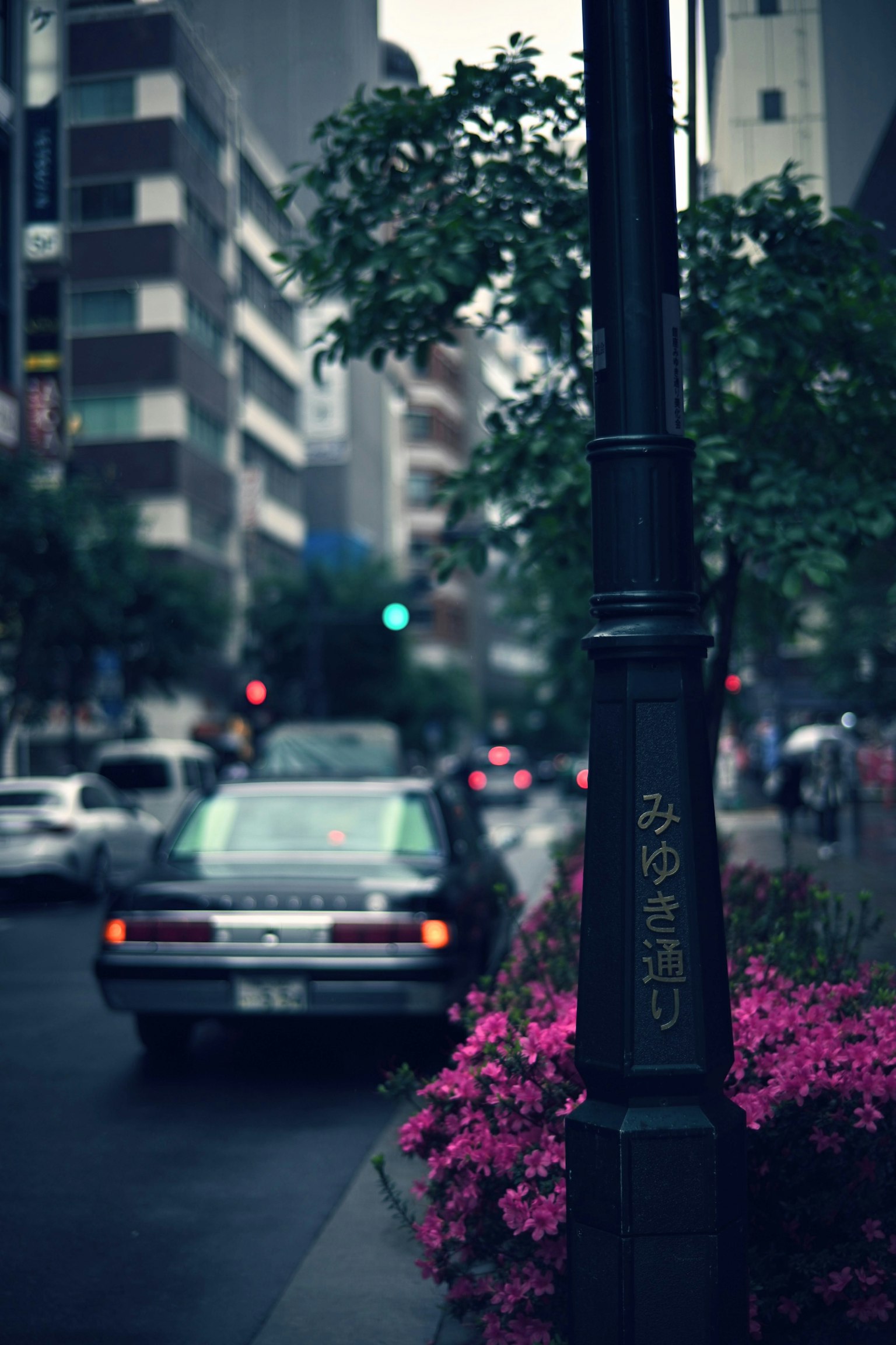 Scena urbana con un lampione e fiori rosa vivaci
