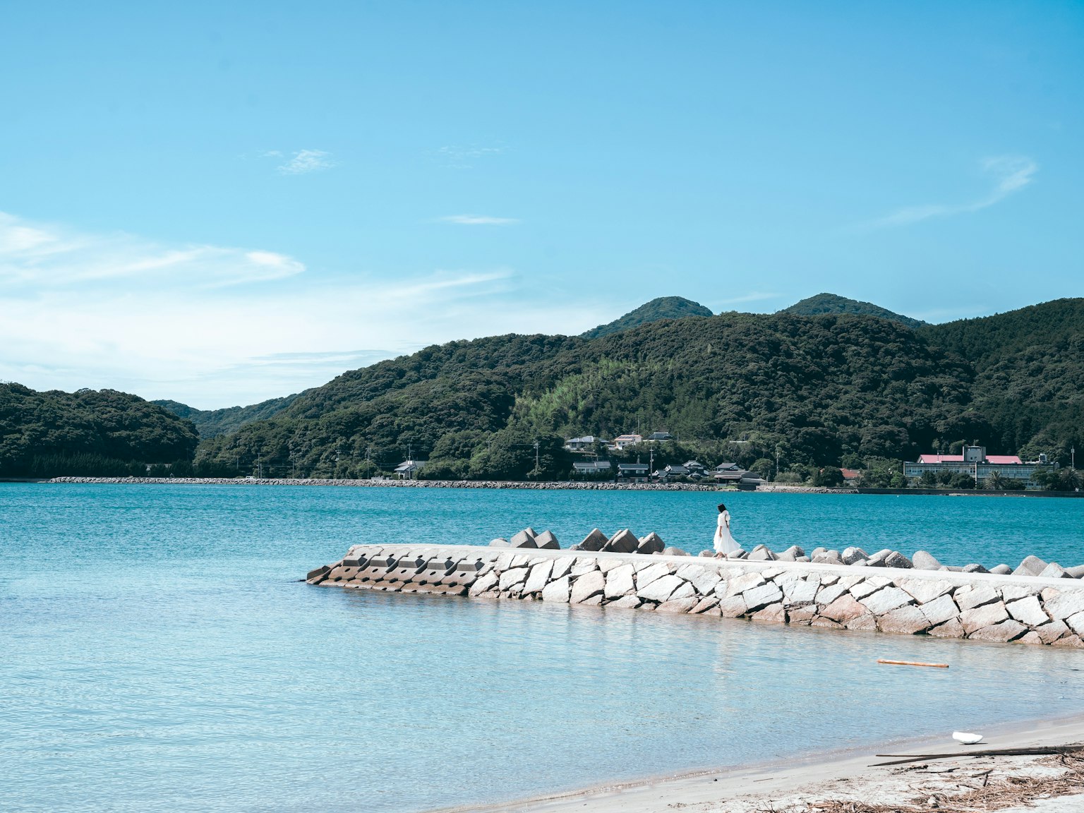 風景如畫的海灘景觀,背景有藍色水域和柔和的山丘