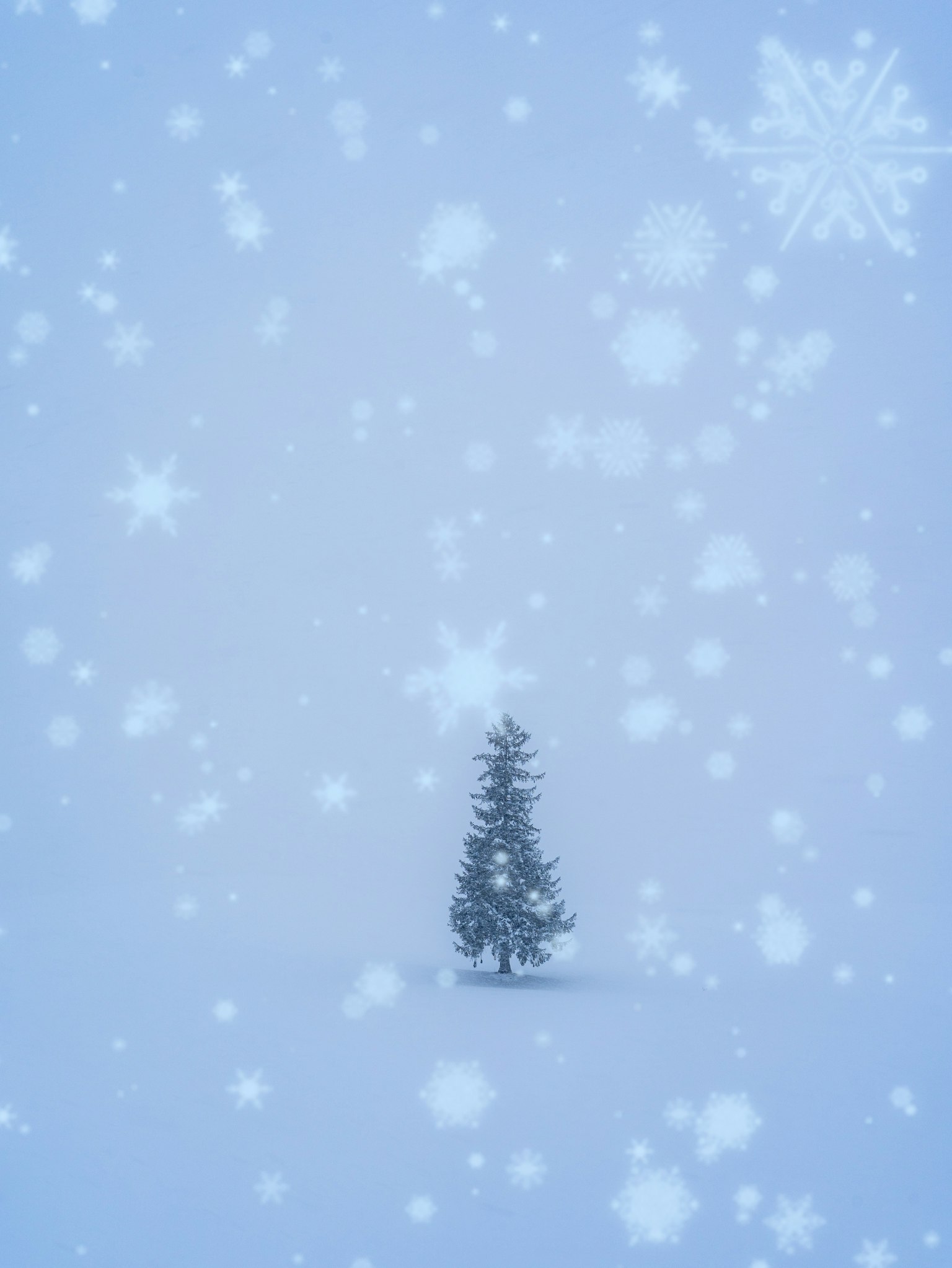 Ein einzelner Baum im Schnee mit fallenden Schneeflocken