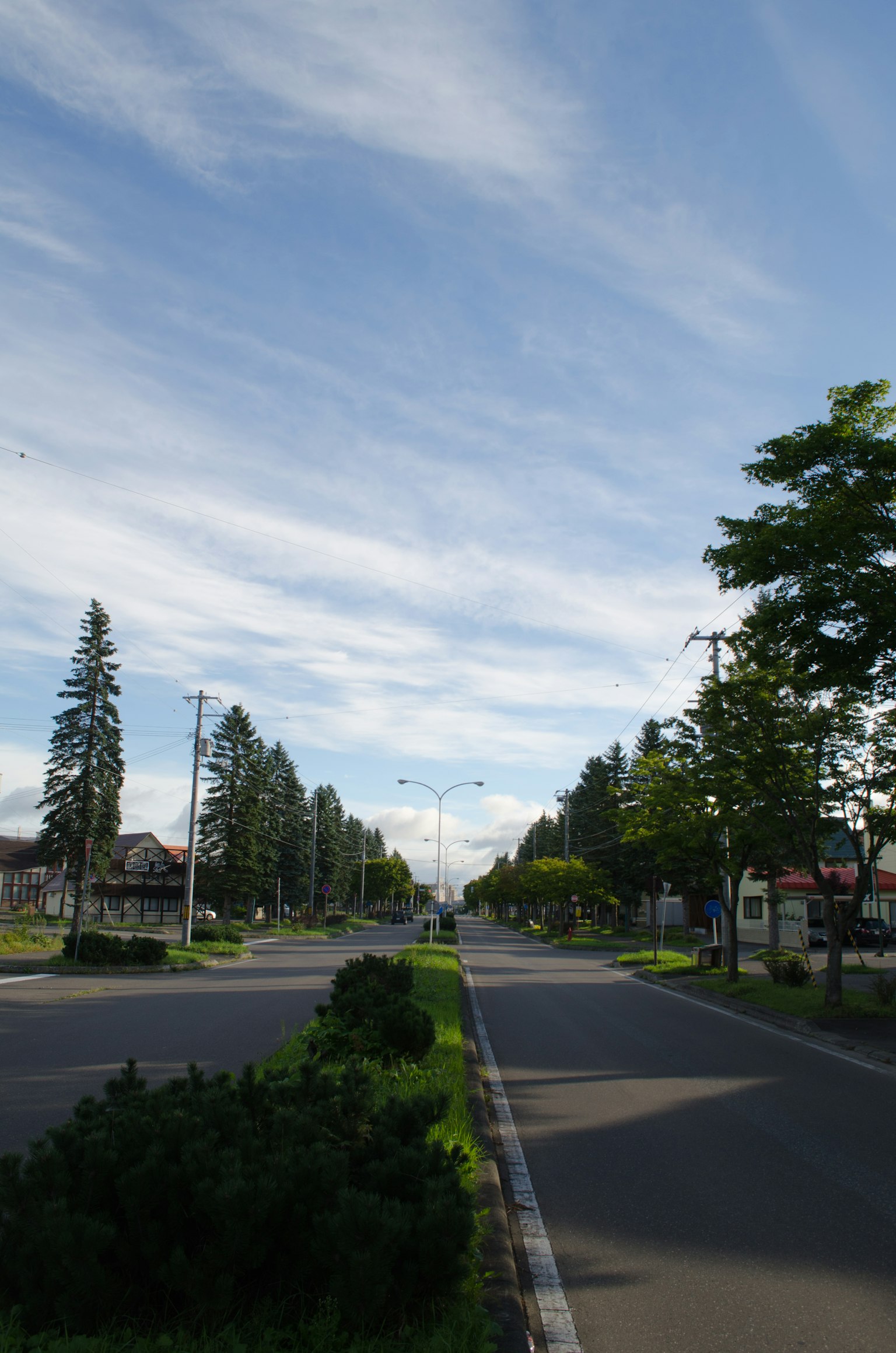 Una scena di strada tranquilla con cielo blu e nuvole alberi verdi e marciapiedi ben curati