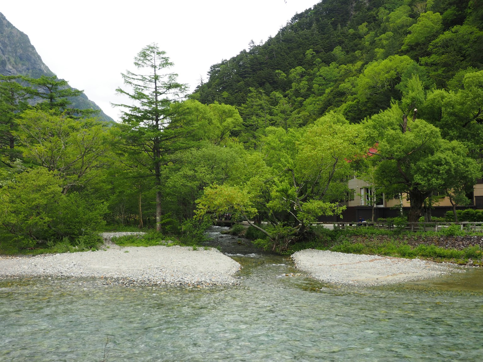 Paisaje de río pintoresco rodeado de árboles verdes exuberantes