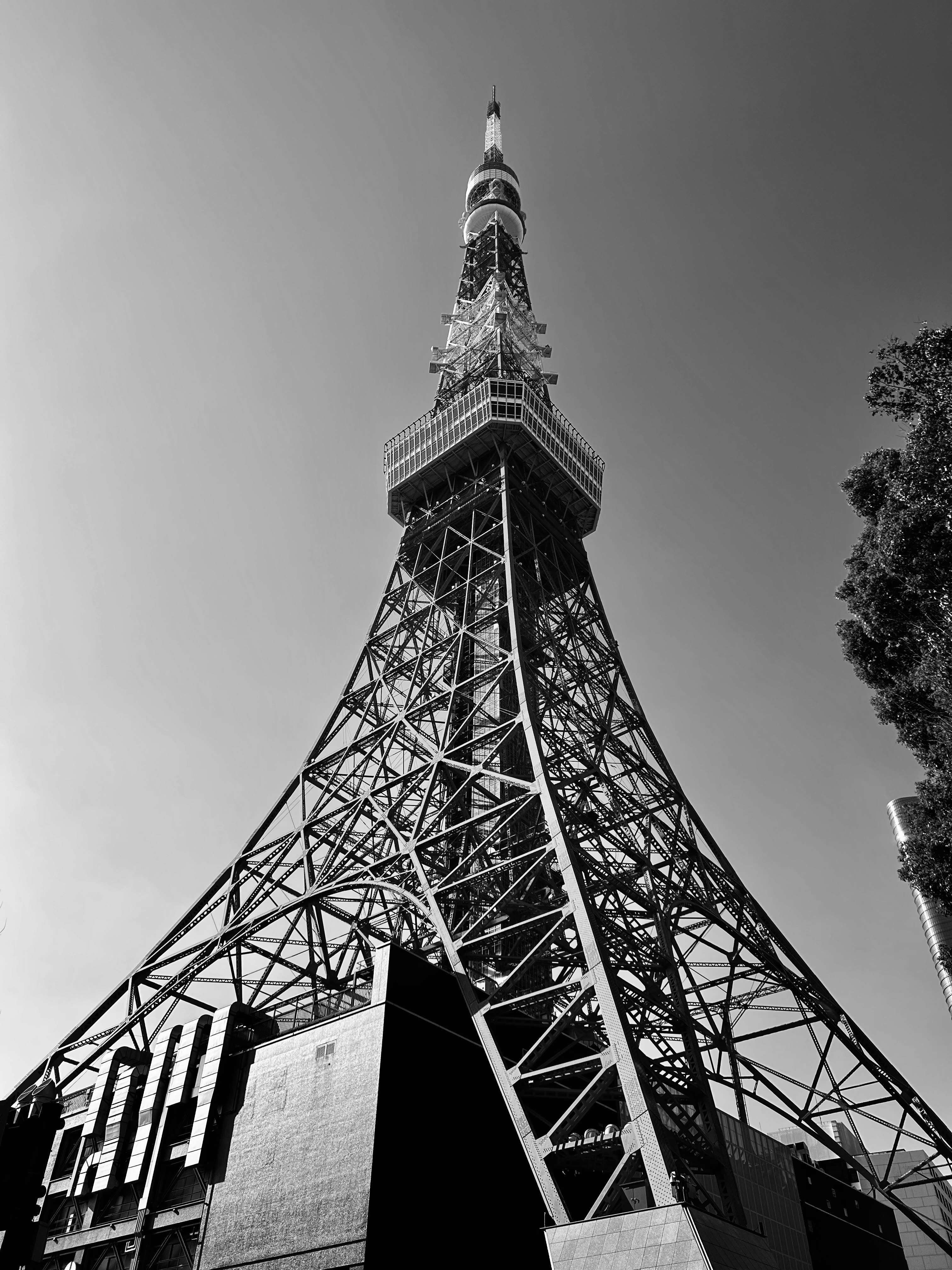 Vista completa de la Torre de Tokio en monocromo