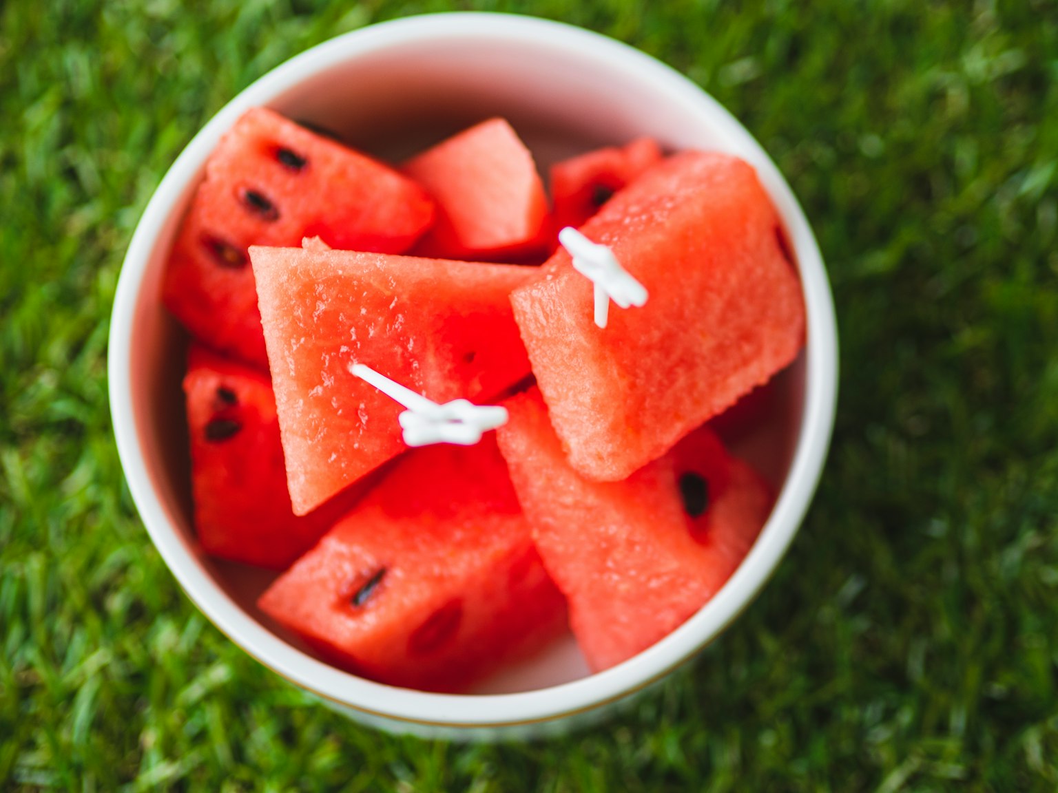 Fresh watermelon cubes in a white cup placed on green grass