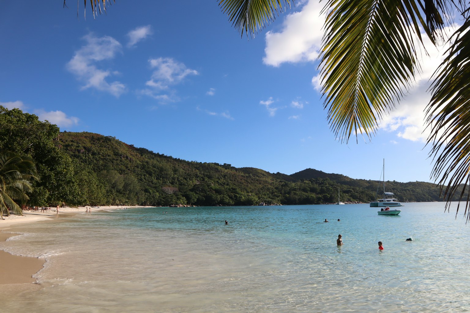 Vista de playa escénica con agua azul hojas de palma en primer plano personas nadando
