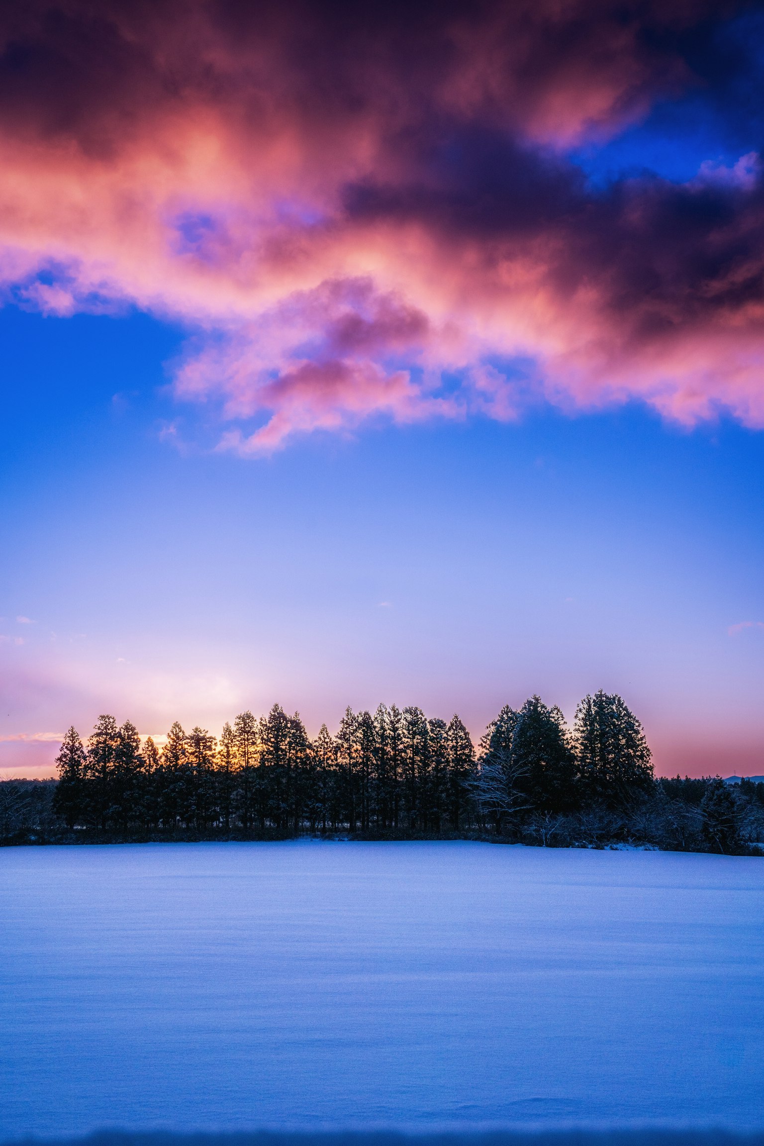 Silhouette magnifique d'une forêt derrière un coucher de soleil sur un paysage enneigé