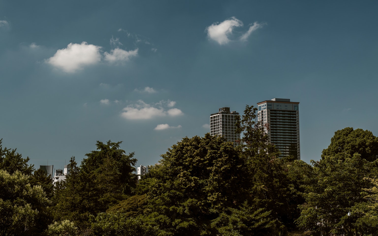 Pemandangan kota dengan gedung tinggi dan vegetasi subur di bawah langit biru
