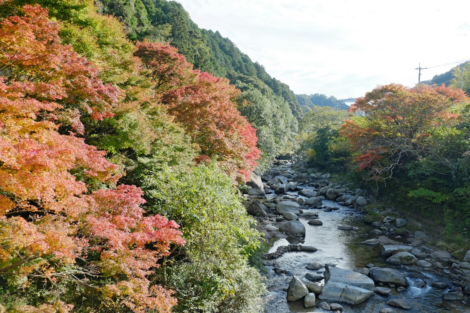 Malersiche Aussicht auf einen Fluss umgeben von buntem Herbstlaub