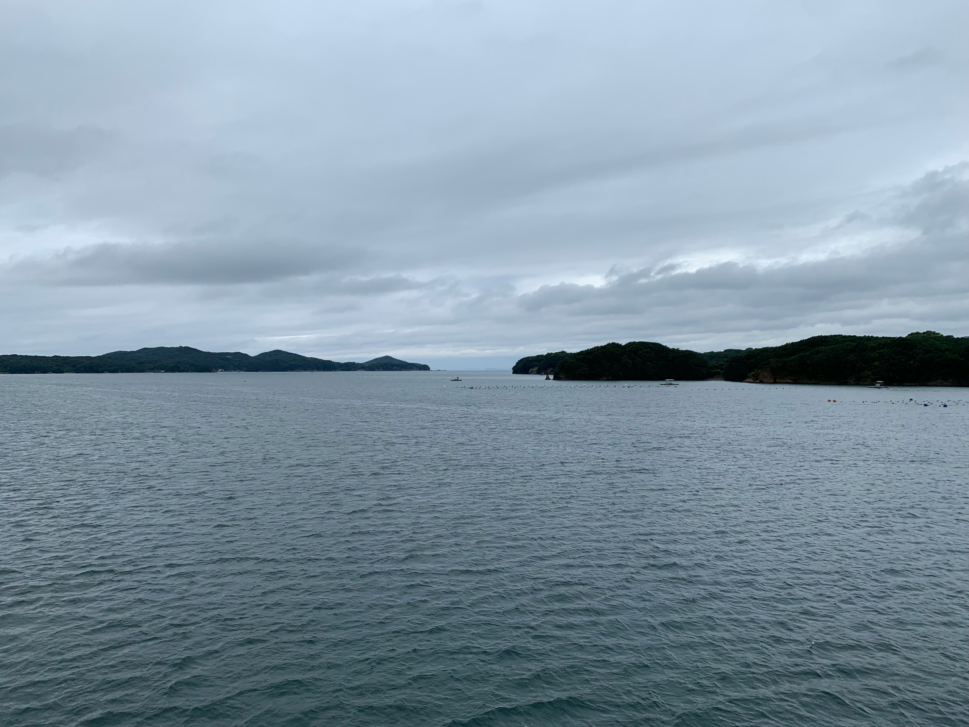 広い水面と遠くの低い島が見える曇り空の海景