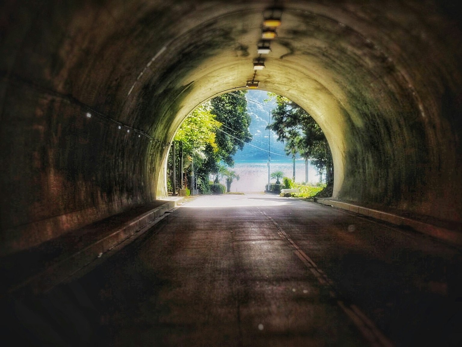 Vista da un tunnel che mostra una vegetazione lussureggiante e una luce brillante