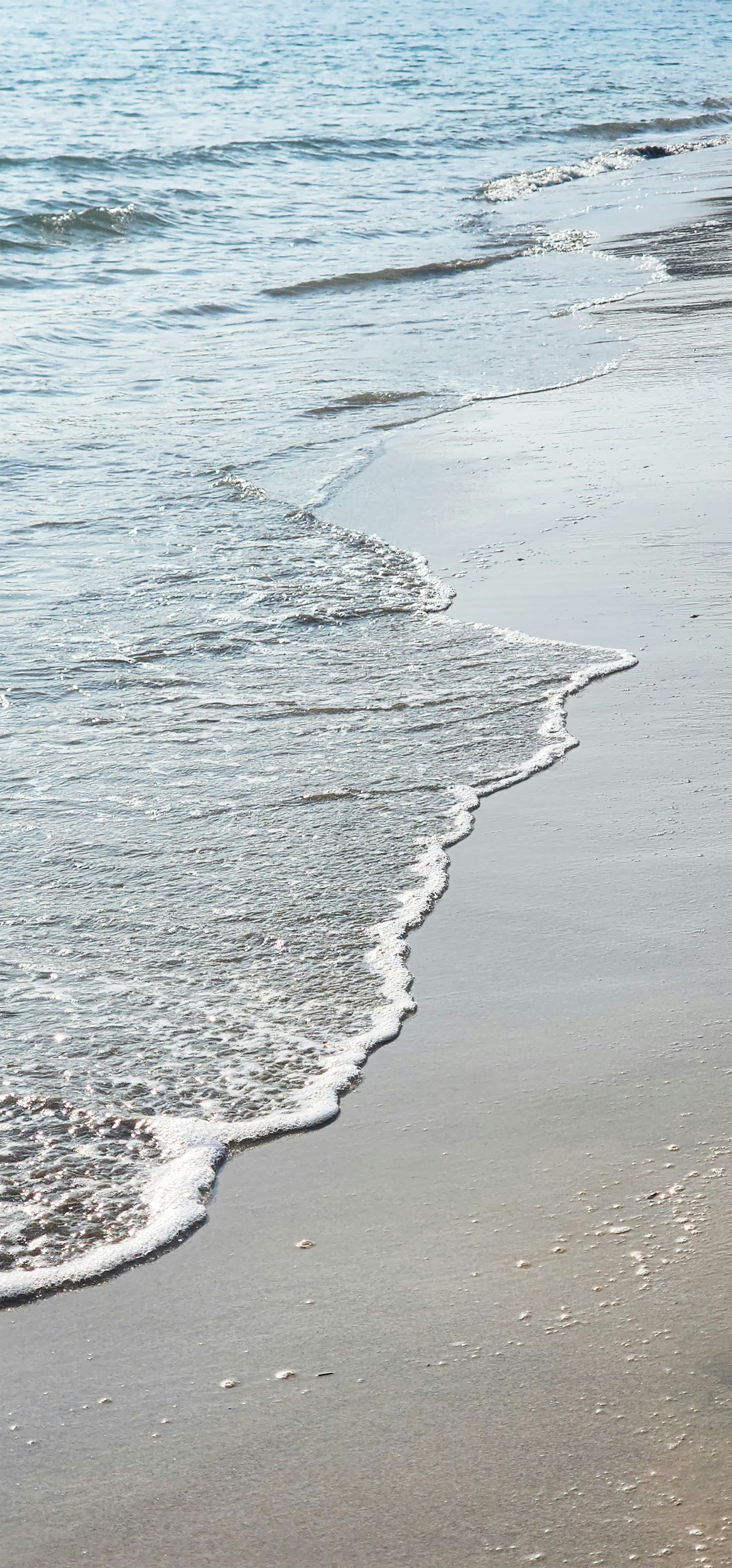Une scène de plage tranquille avec des vagues douces qui lèchent le rivage
