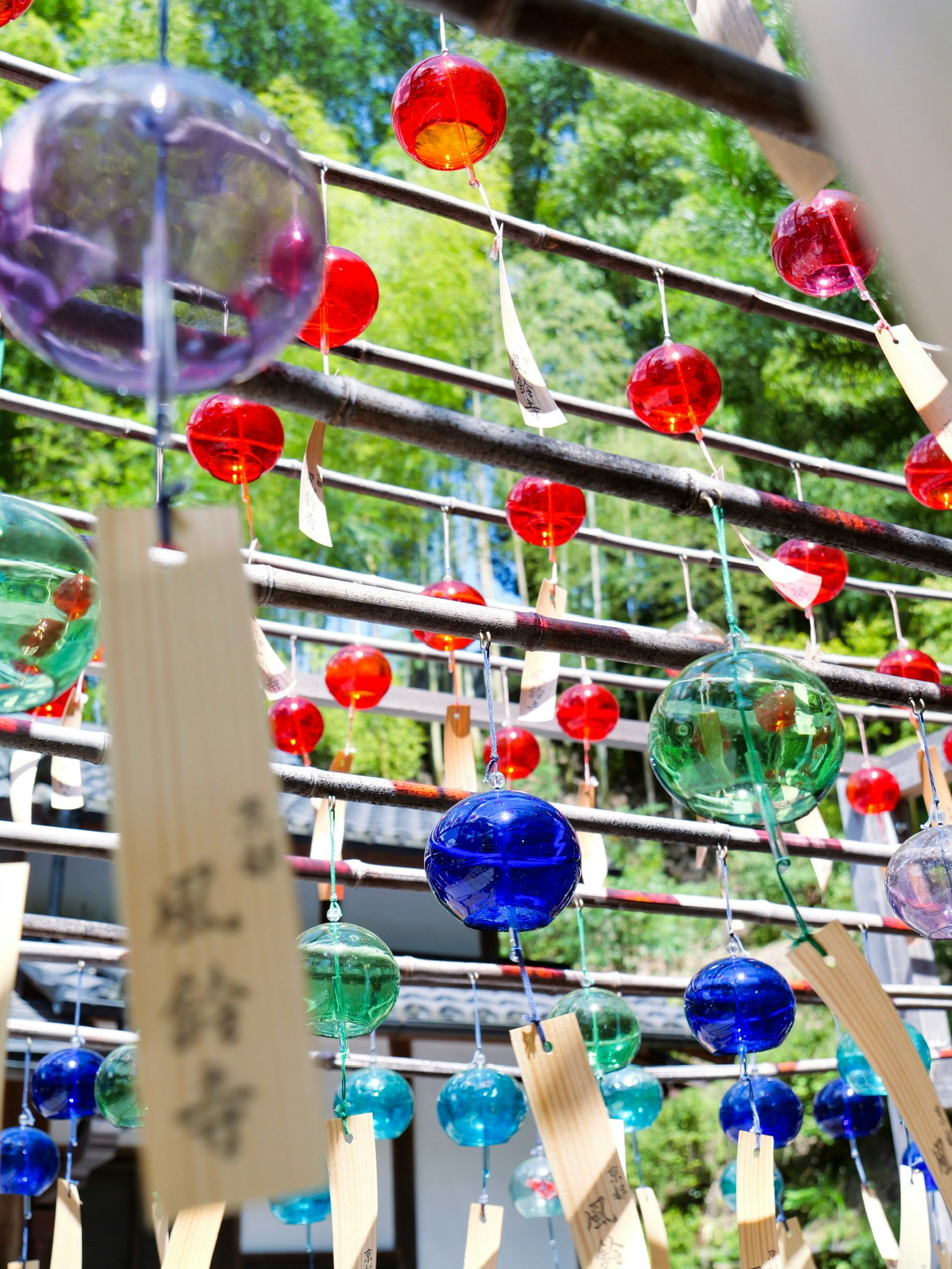 Carillons colorés suspendus dans une exposition vibrante Arrière-plan vert avec des carillons en verre rouge bleu et violet et des étiquettes en bois