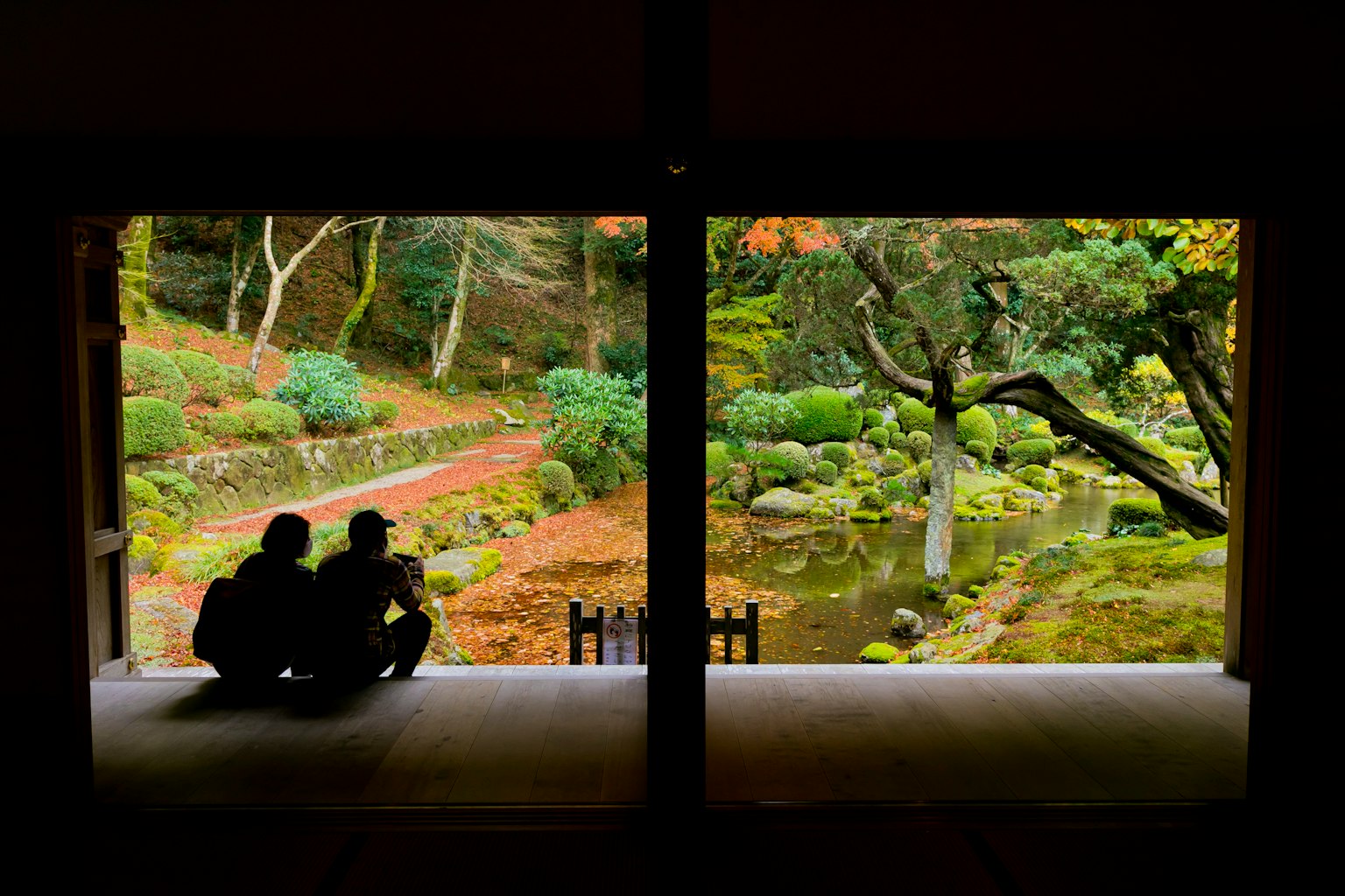 两人轮廓俯瞰宁静花园与绿色景观