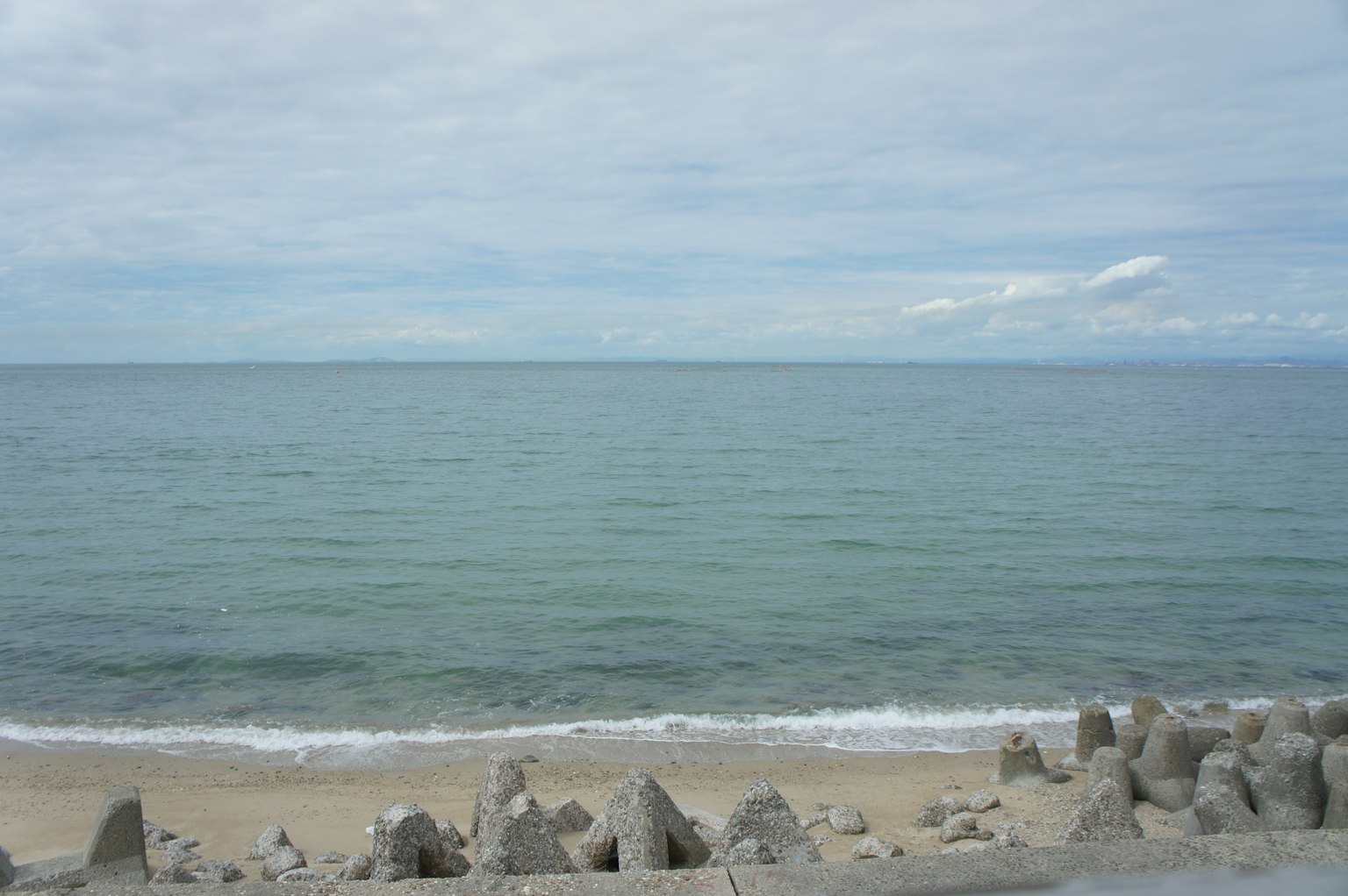photo-8E7zcA1DTkJ39yB6ggdf-image