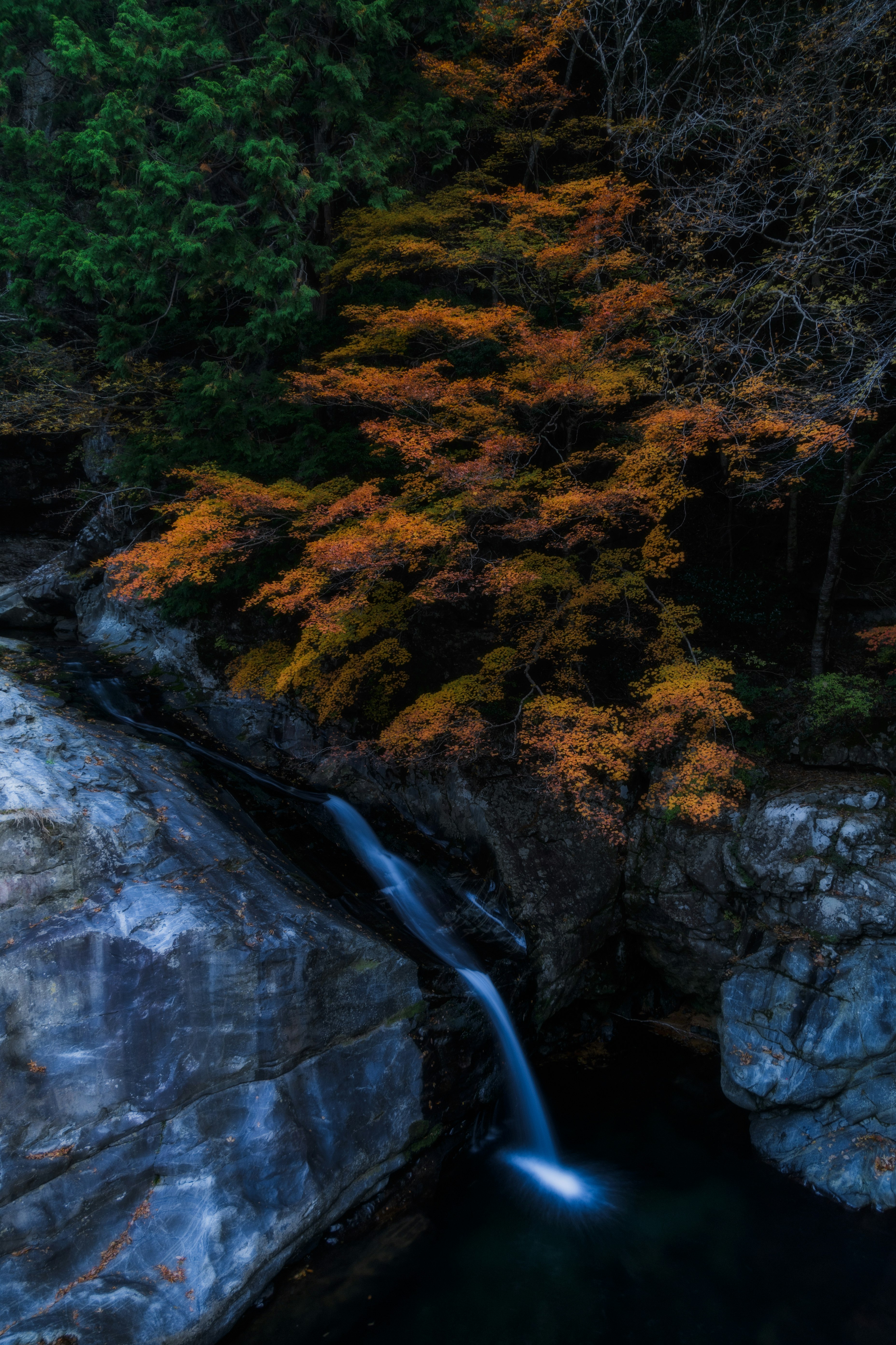 紅葉の渓流に流れる小滝のある山の景色