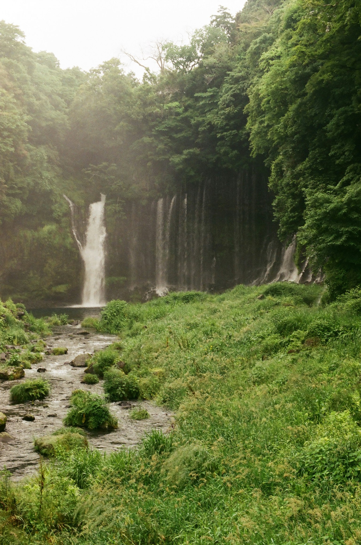 Air terjun yang indah dikelilingi oleh pepohonan lebat dan sungai
