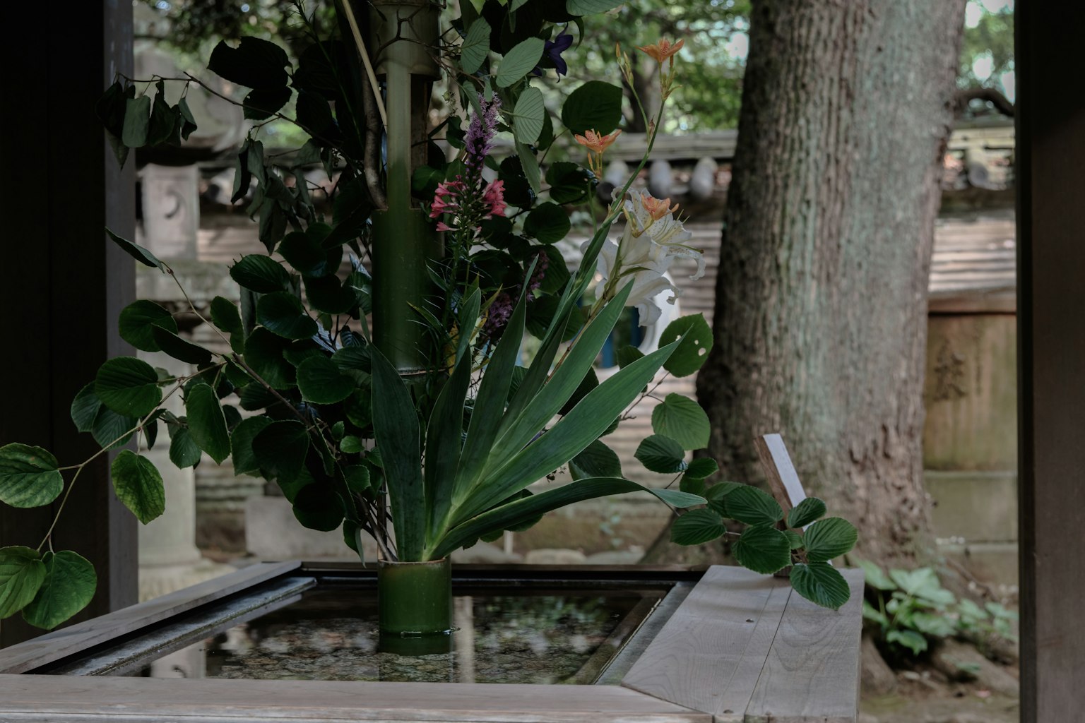 Piante verdi rigogliose in un giardino con una fontana