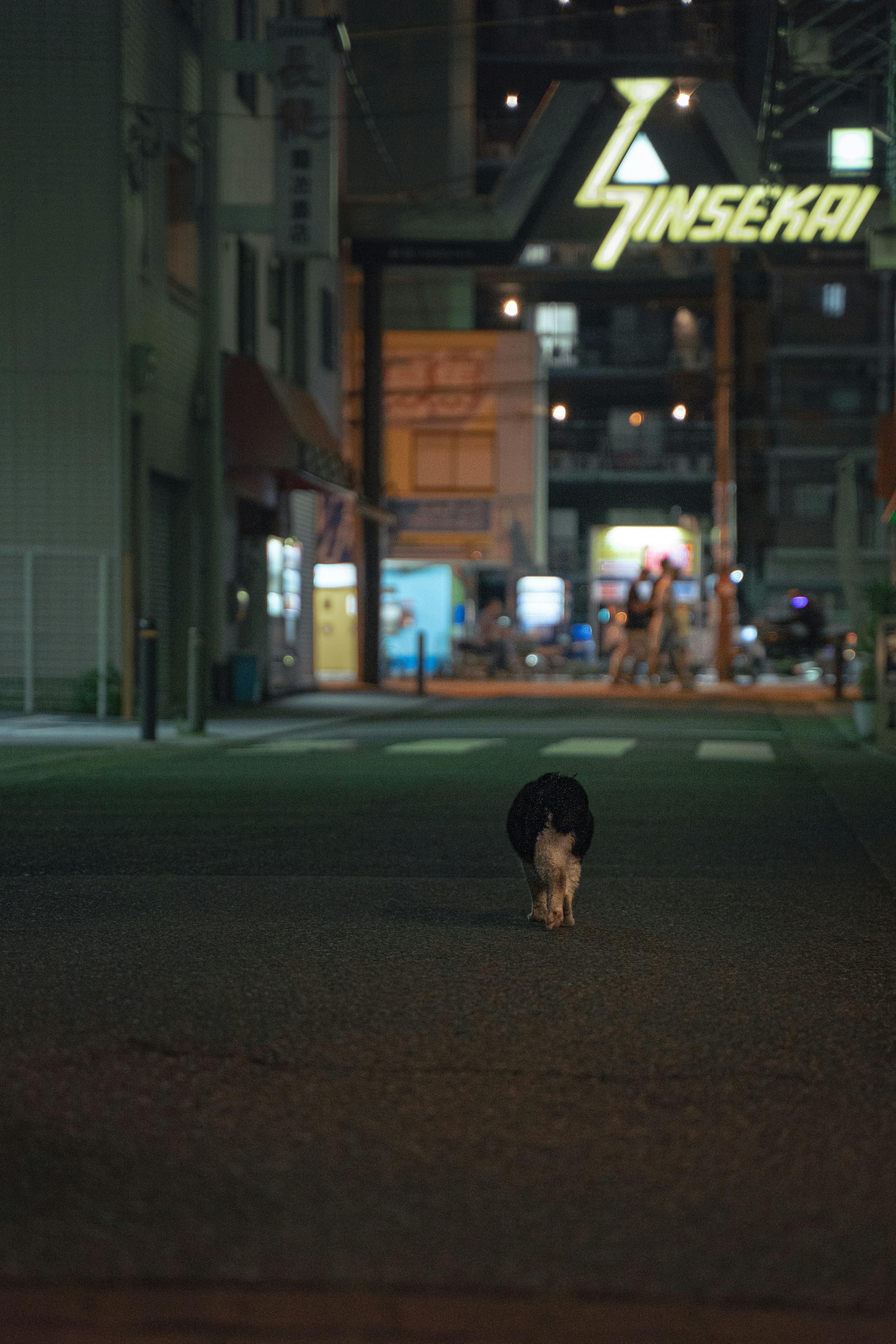夜の工業地帯で犬が歩く路地の奥にネオン看板