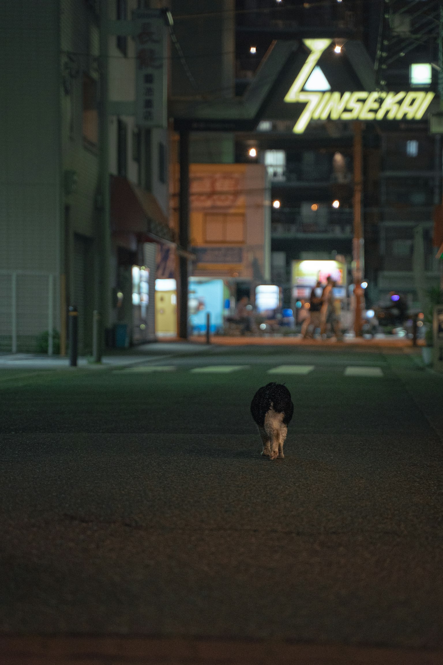 Silhouette d'un chien marchant dans la nuit avec une enseigne lumineuse de Shinsekai