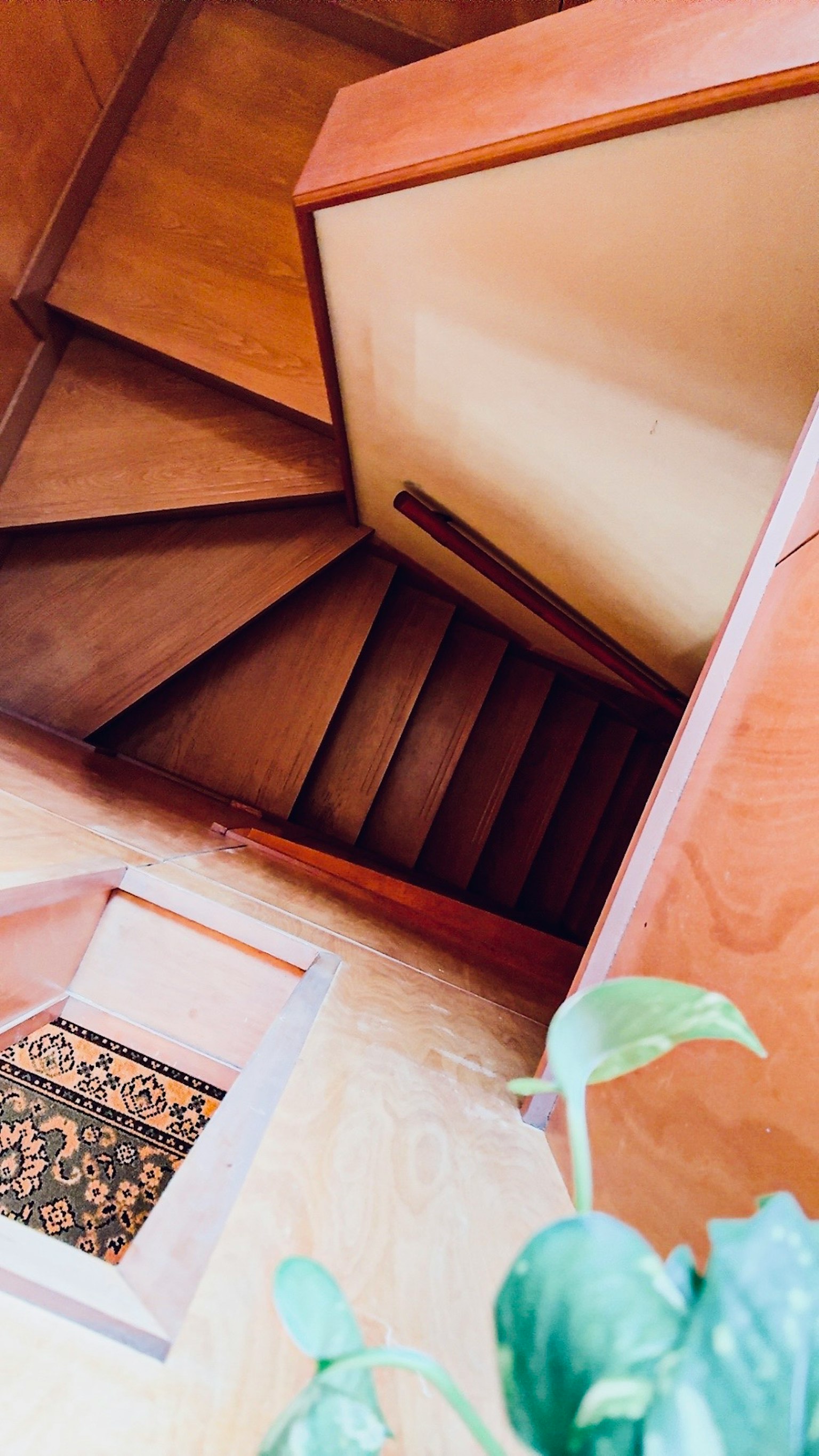 木製の階段が見える室内の上からの視点 植物とカーペットが配置されている