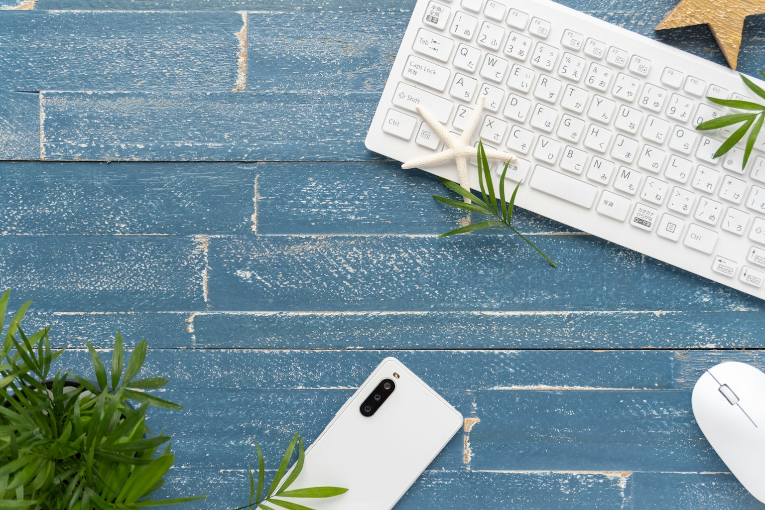 A white keyboard and mouse on a blue wooden table surrounded by green plants and a starfish