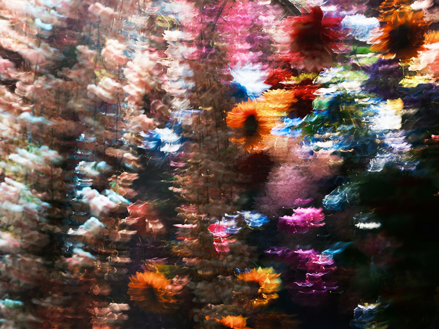 Imagen abstracta de flores coloridas con un fondo borroso