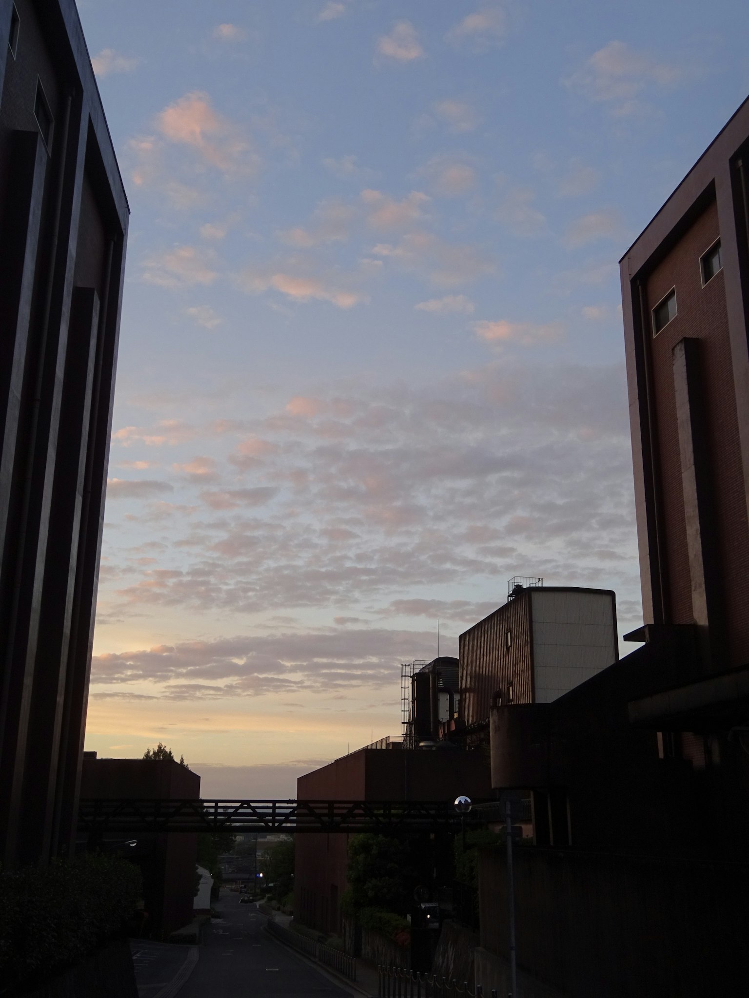 Vista di strada con cielo al tramonto e edifici