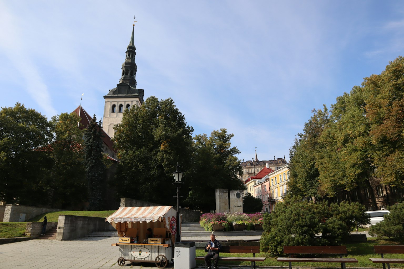 Kirchturm zwischen Bäumen in einem Park
