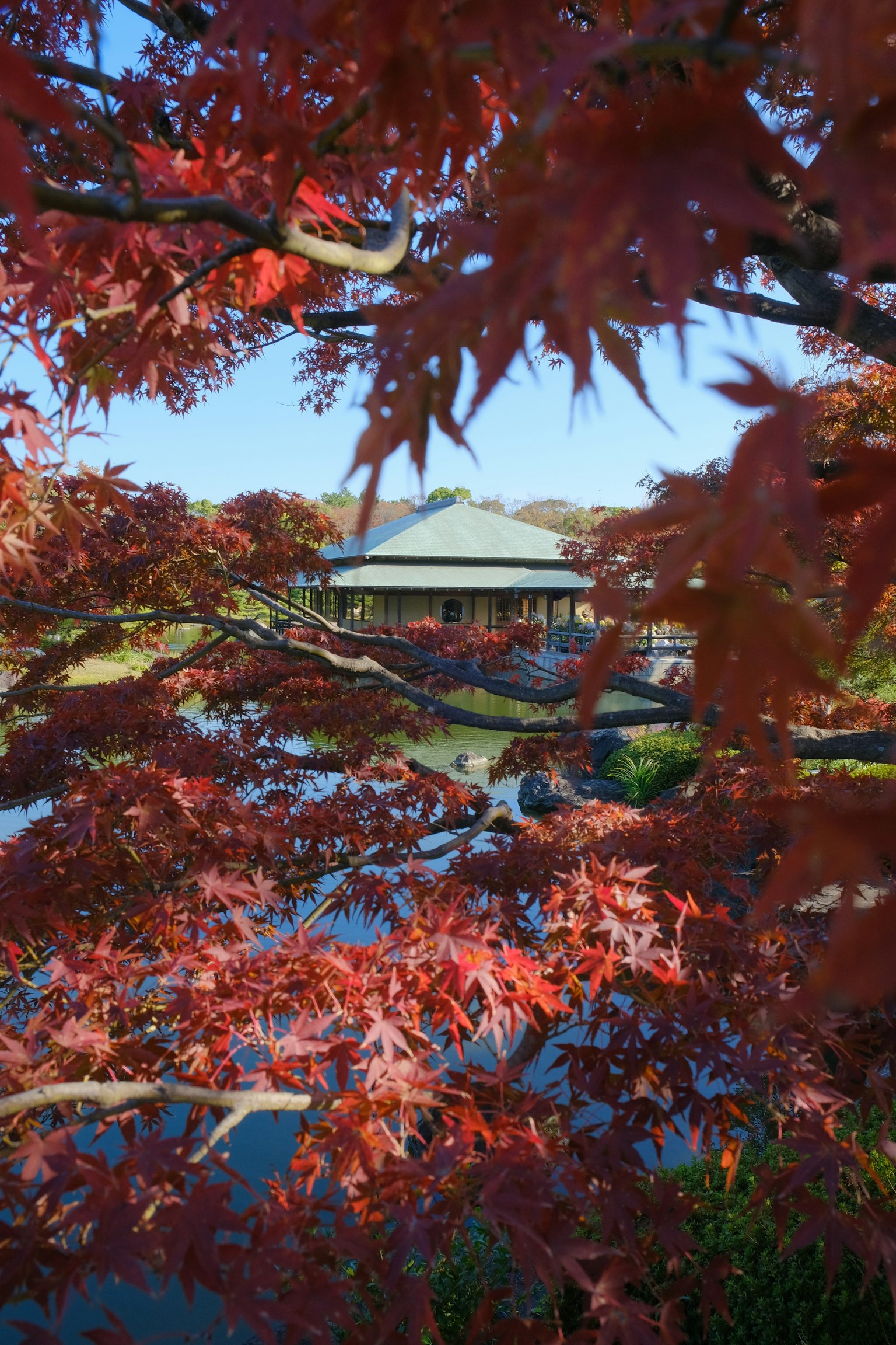 photo-8FklMql8SePsV0iX3BvT-image