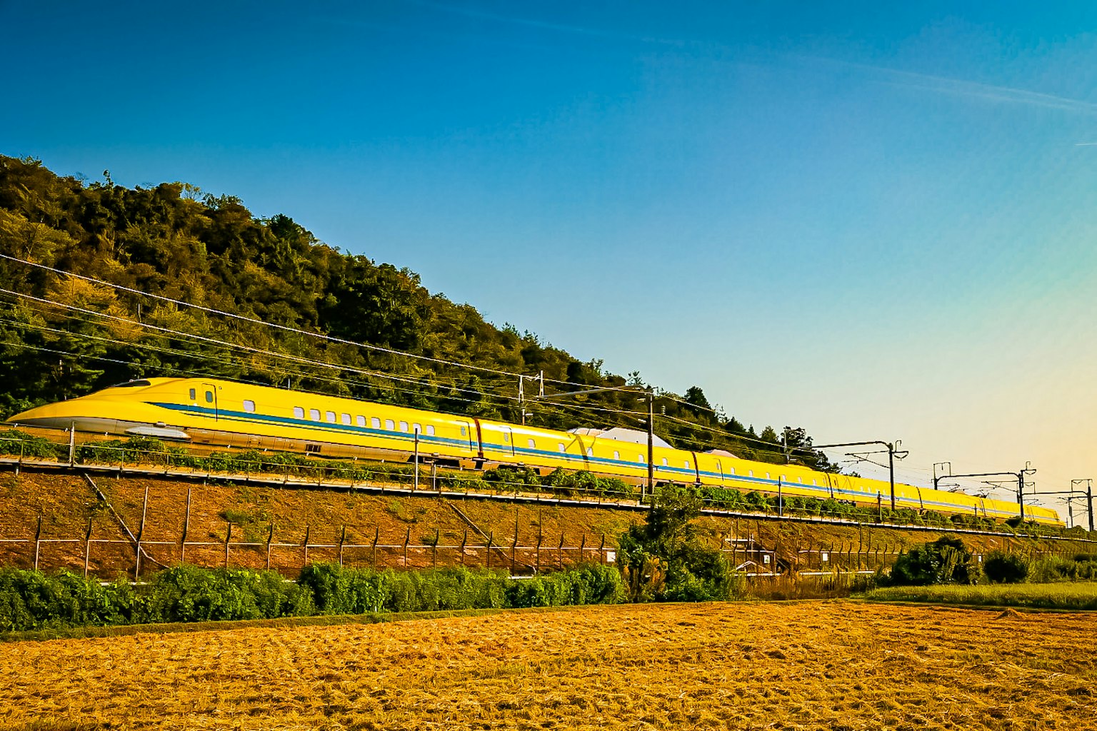 Shinkansen màu vàng chạy dọc theo sườn đồi dưới bầu trời trong xanh