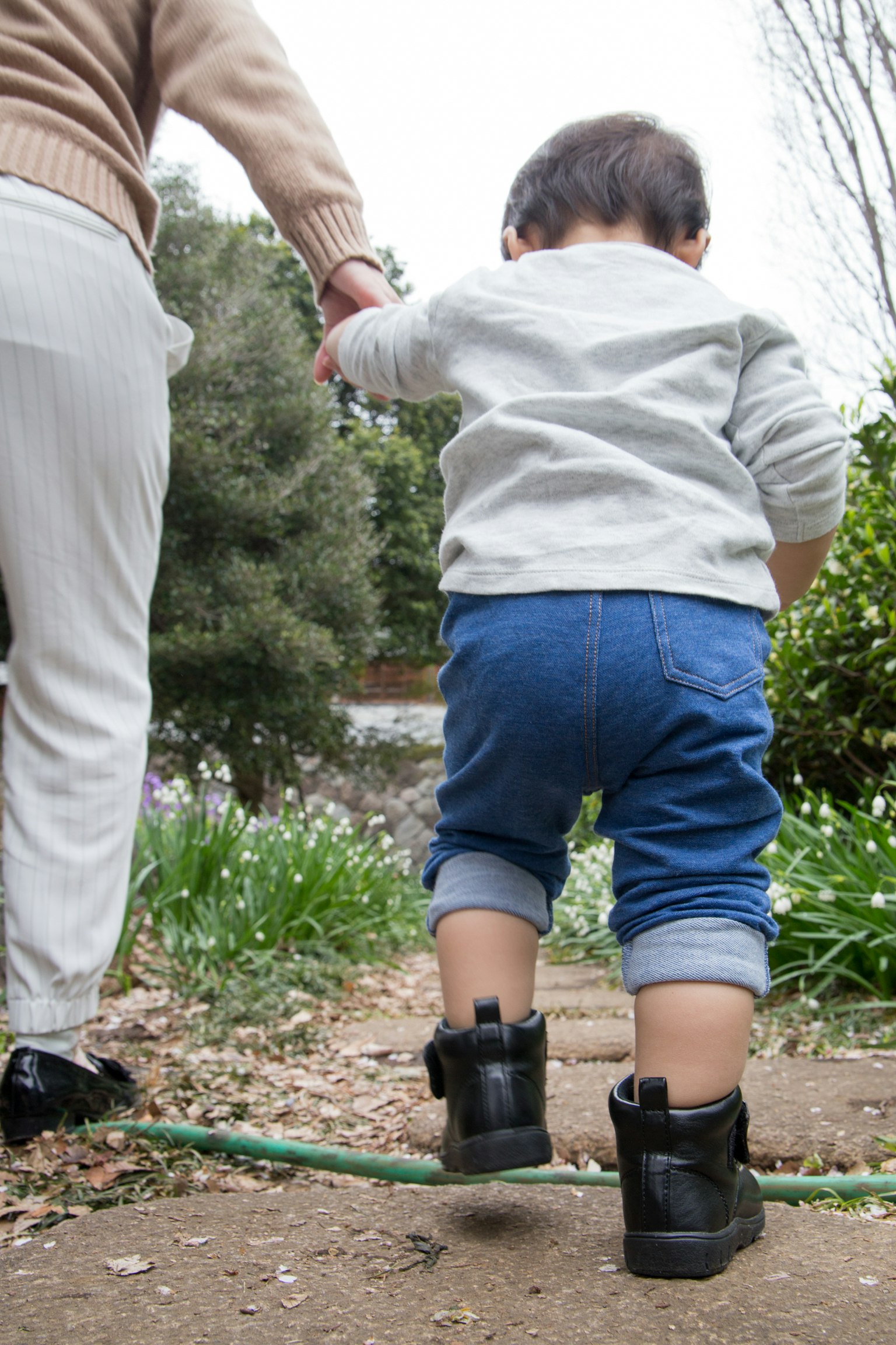 Un bambino che tiene la mano di un adulto mentre cammina Erba verde e alberi sullo sfondo