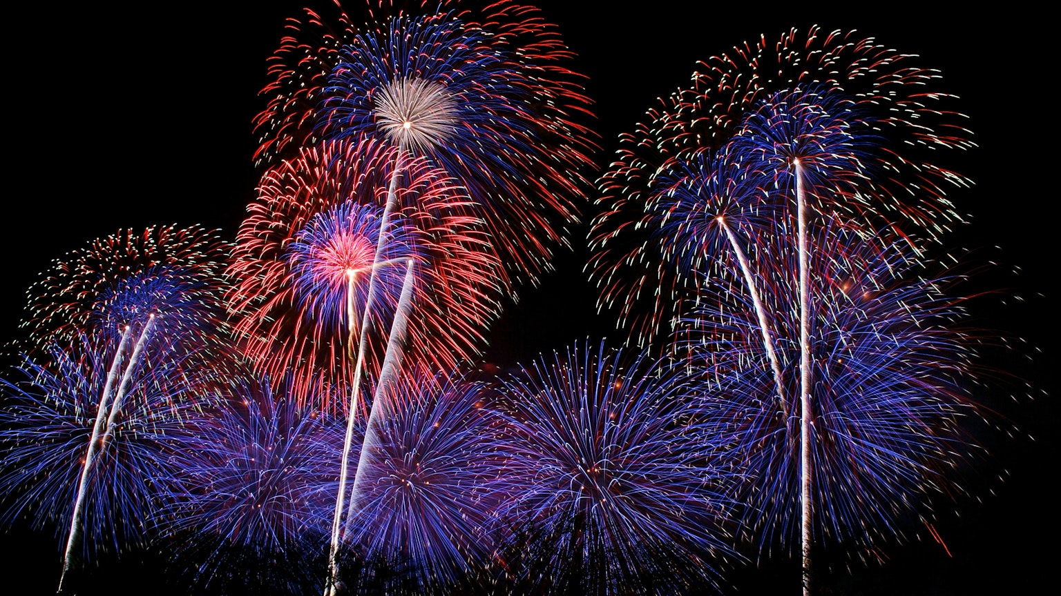 Colorful fireworks display in the night sky