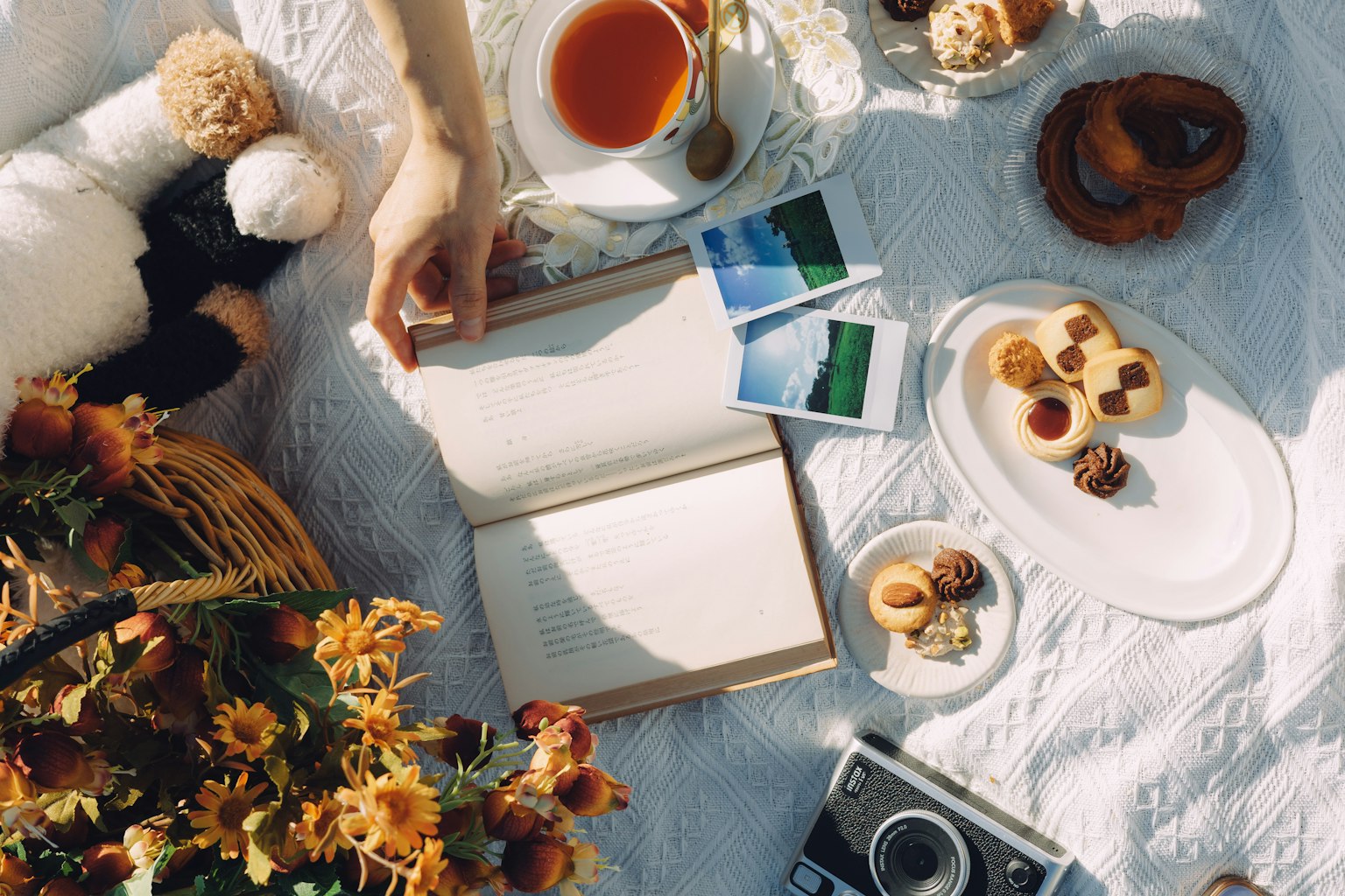 Una mano alcanzando un libro abierto rodeado de té, dulces y una cámara