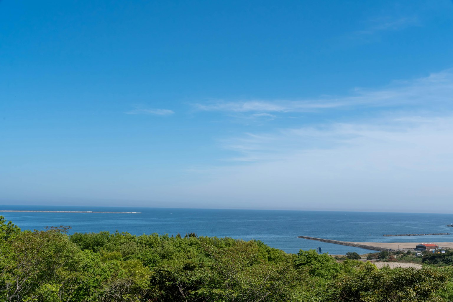 Vaste ciel bleu sur un océan serein avec une verdure luxuriante au premier plan