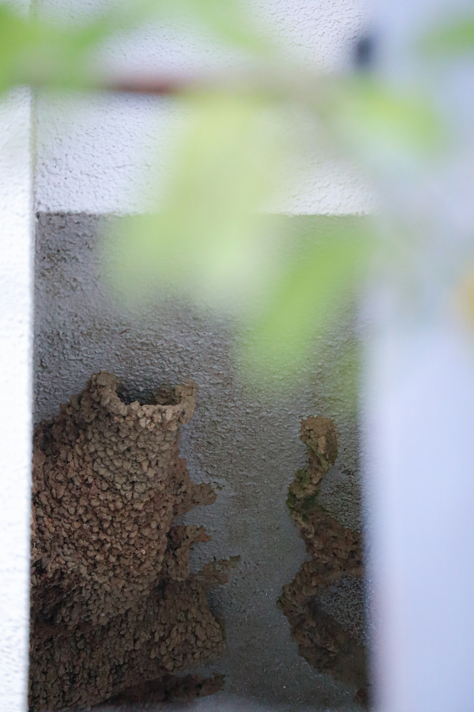 Riflessione di texture e colori naturali sulla superficie dell'acqua