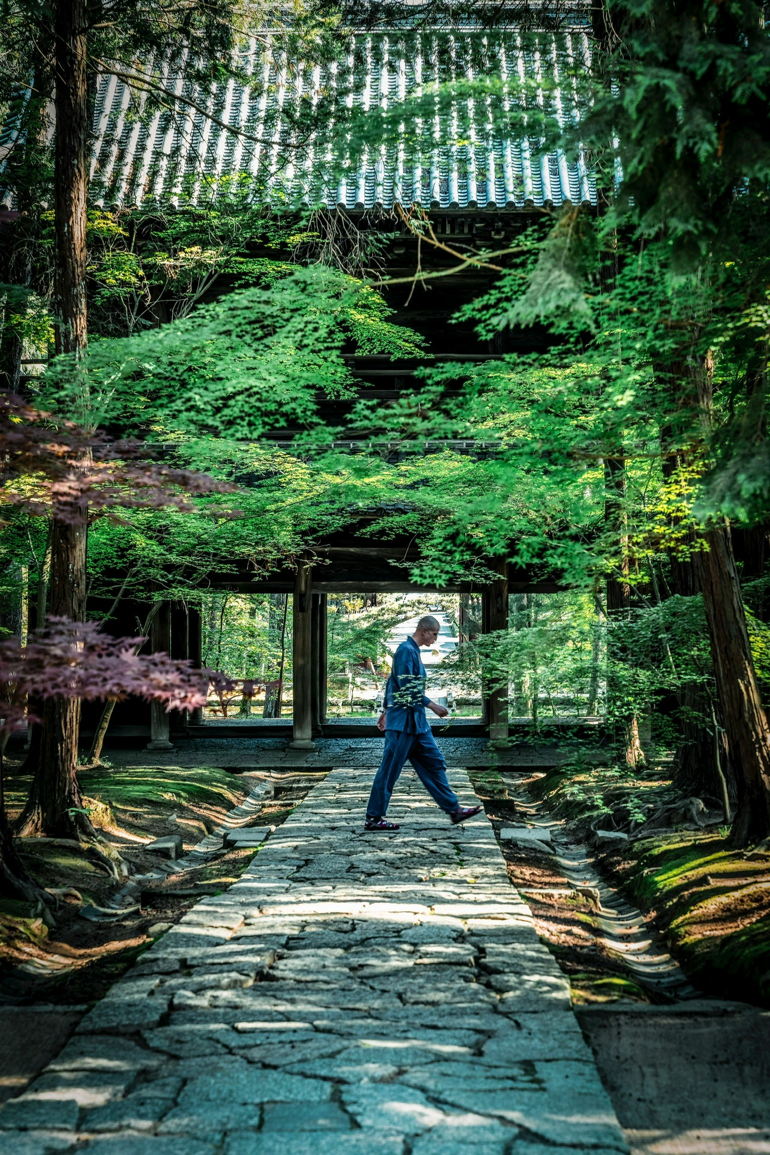 男人走在郁郁蔥蔥的花園中，周圍是傳統的日本建築