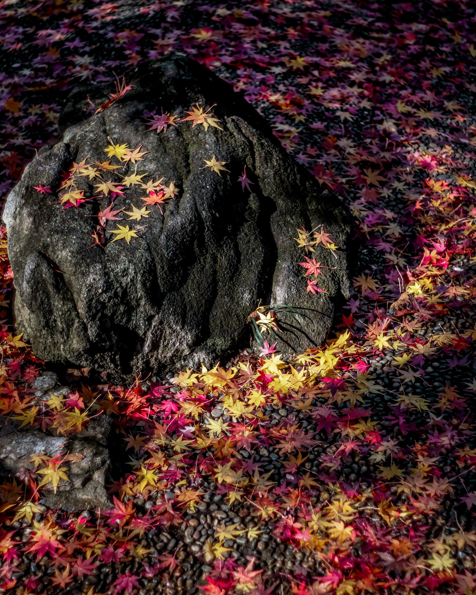 Un paesaggio con foglie autunnali colorate sparse attorno a una roccia