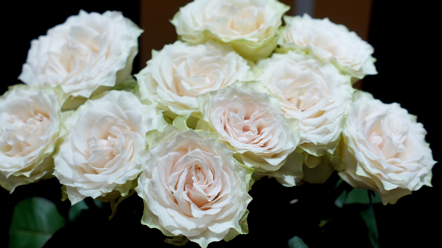 Un bouquet di rose chiare disposto con cura