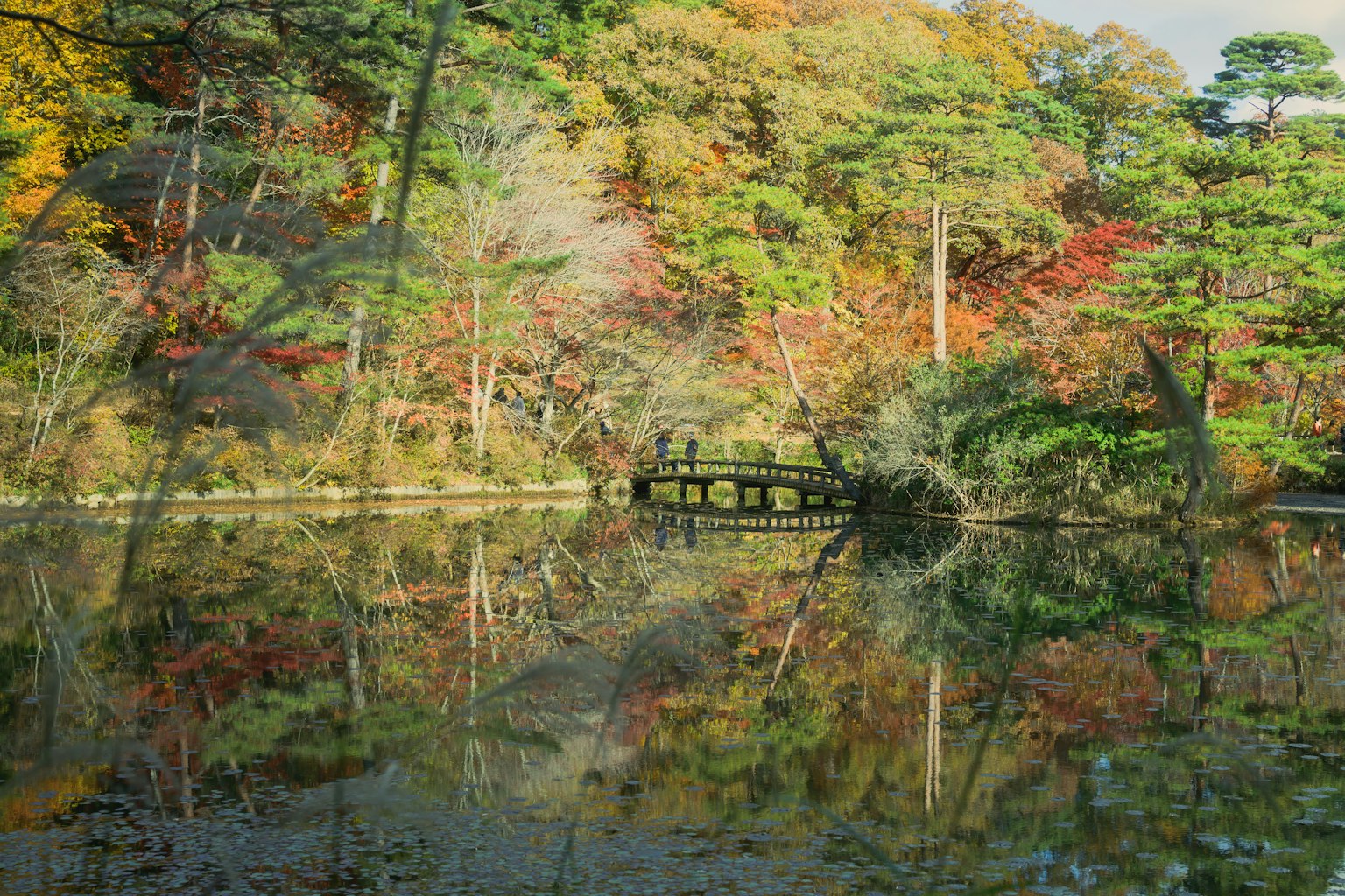 photo-8I90Mr2F9foKBCQ7FQpq-image