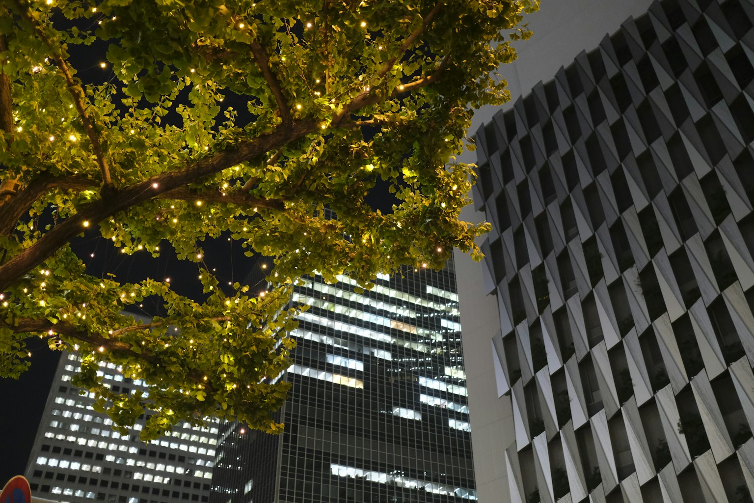 Night cityscape featuring a tree adorned with lights and towering buildings